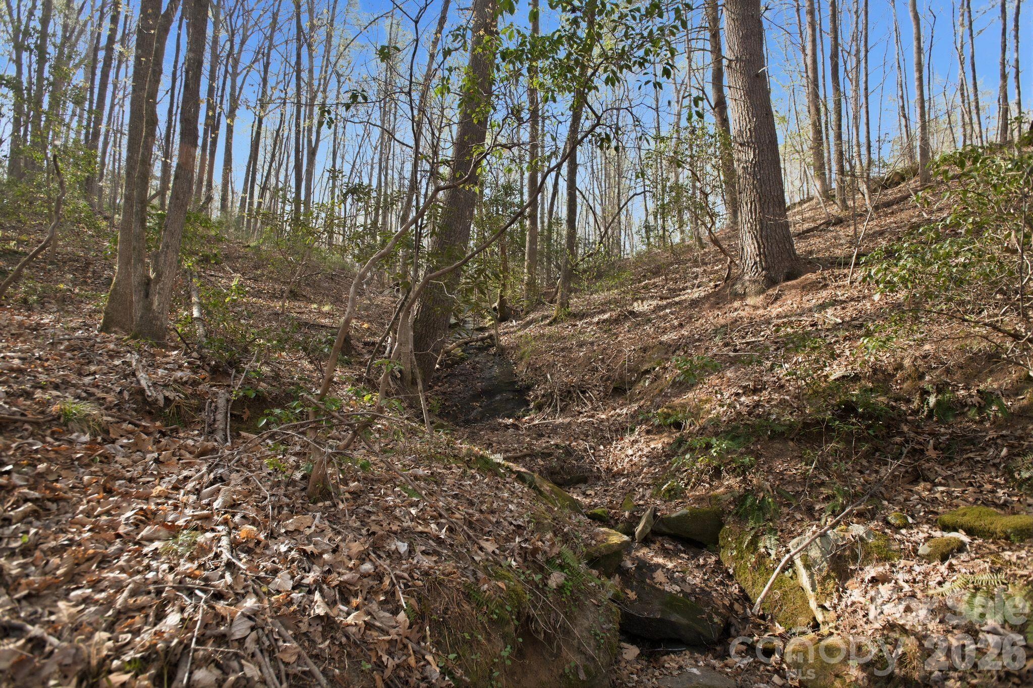 Blackberry Creek - Land