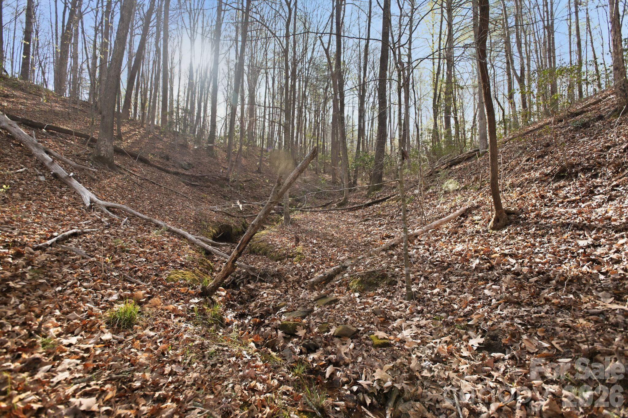 Blackberry Creek - Land