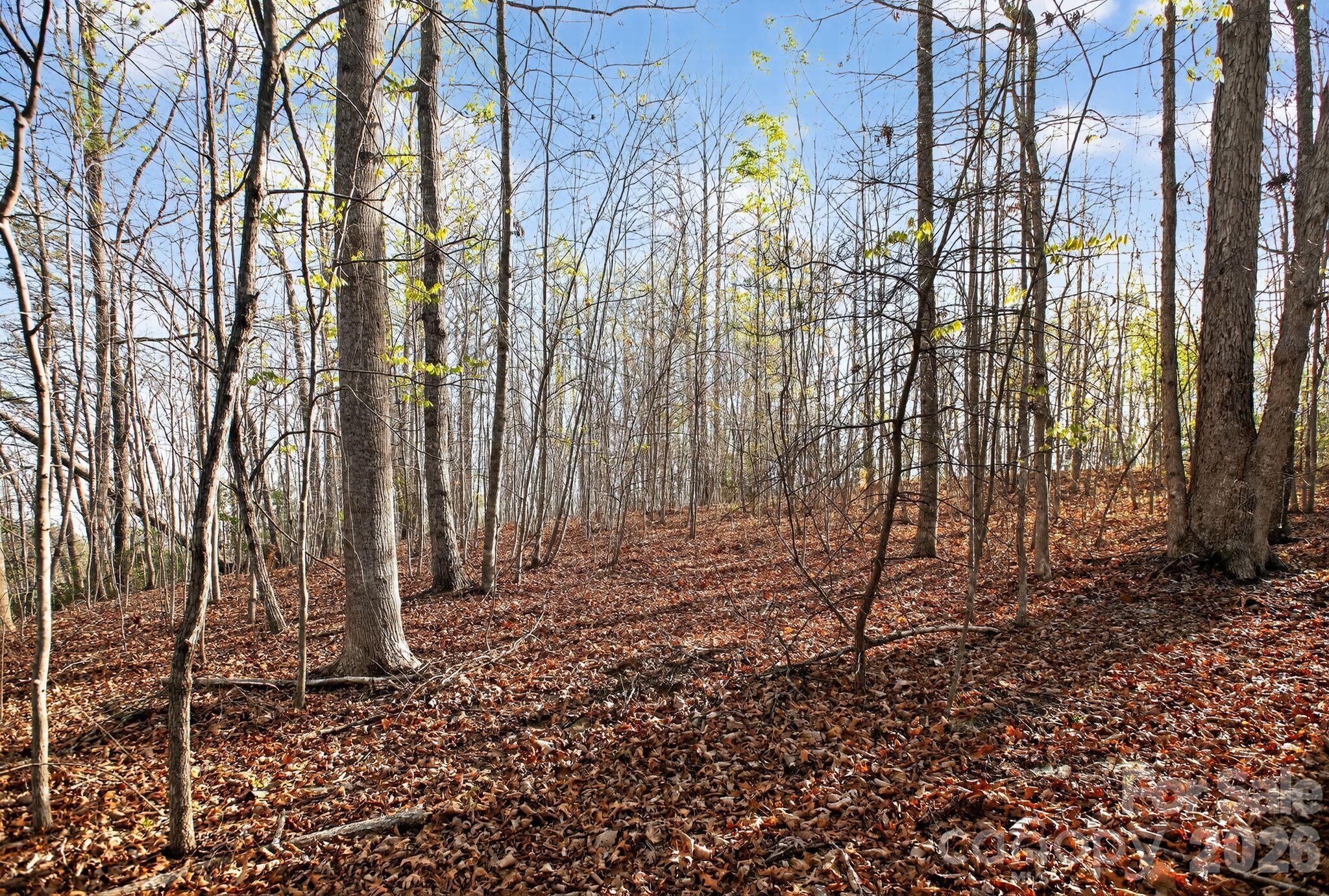 Blackberry Creek - Land