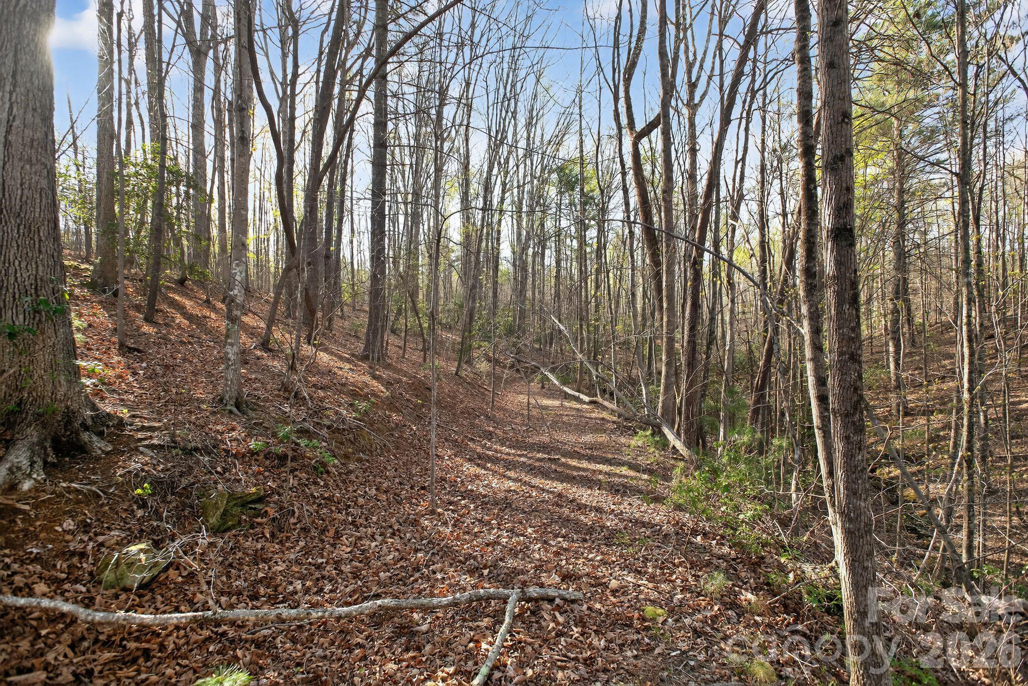 Blackberry Creek - Land