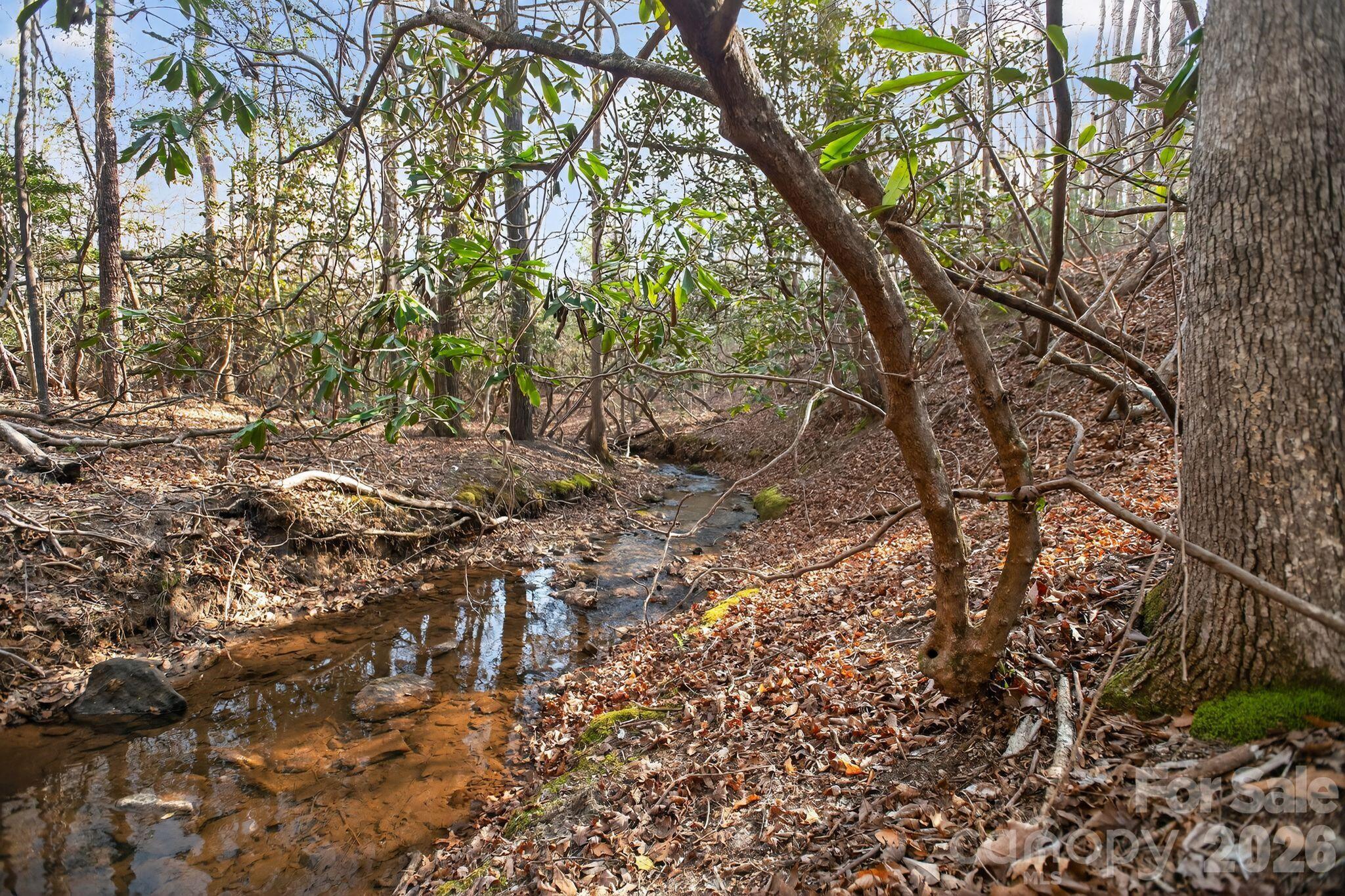 Blackberry Creek - Land