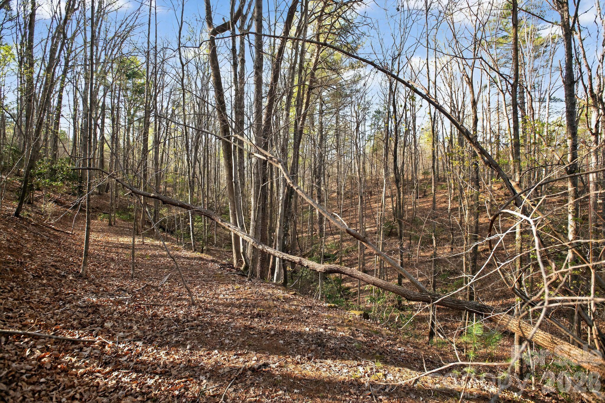 Blackberry Creek - Land