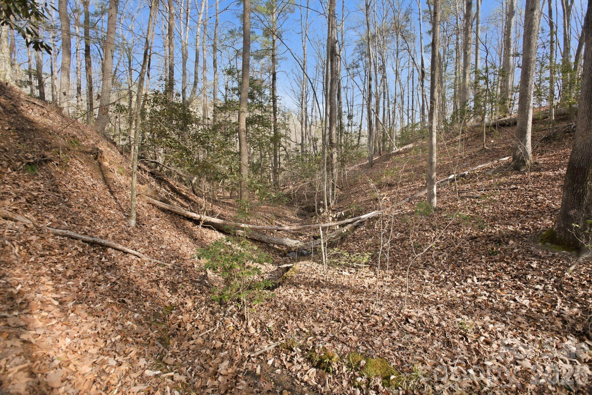 Blackberry Creek - Land