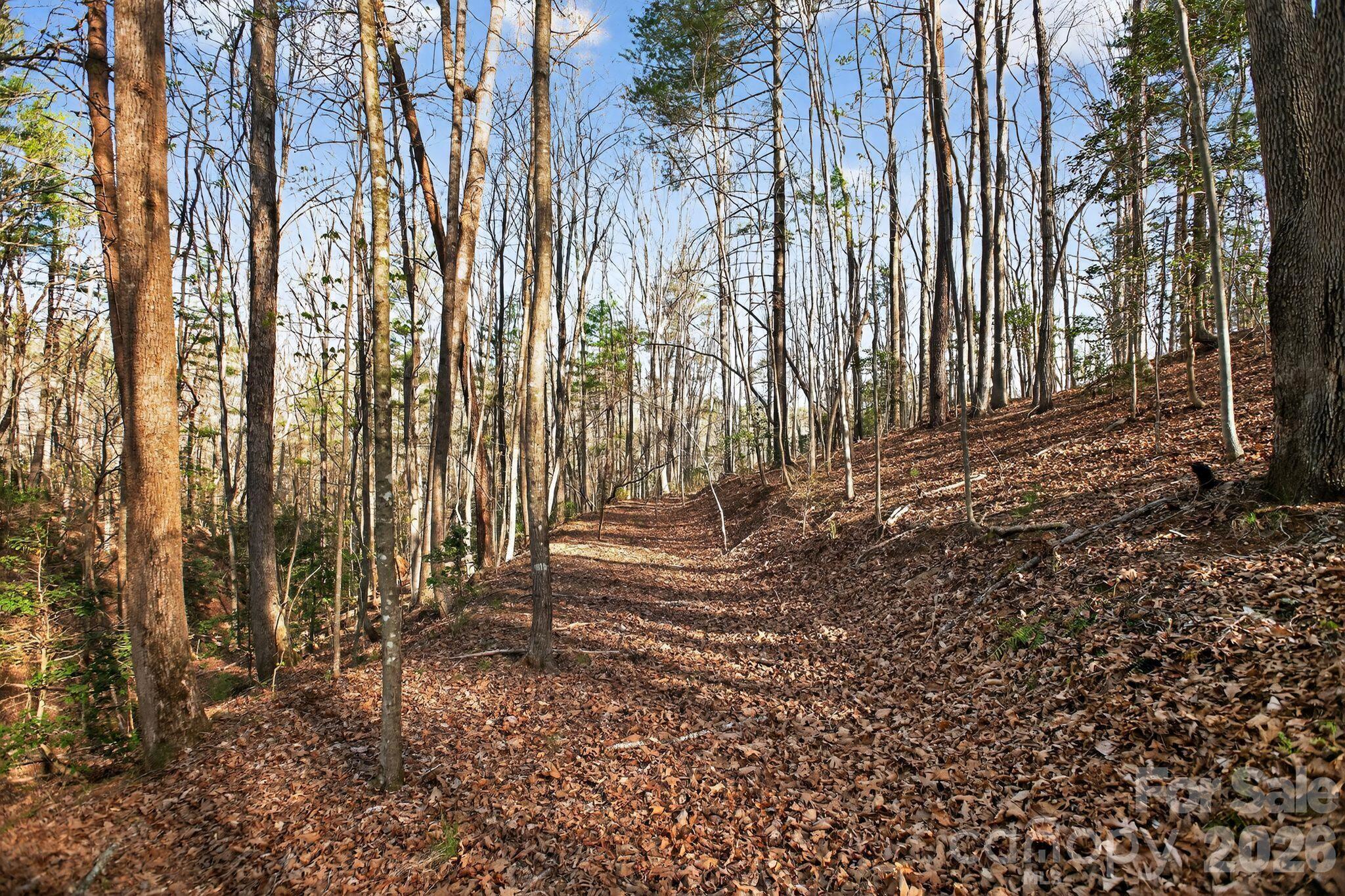 Blackberry Creek - Land