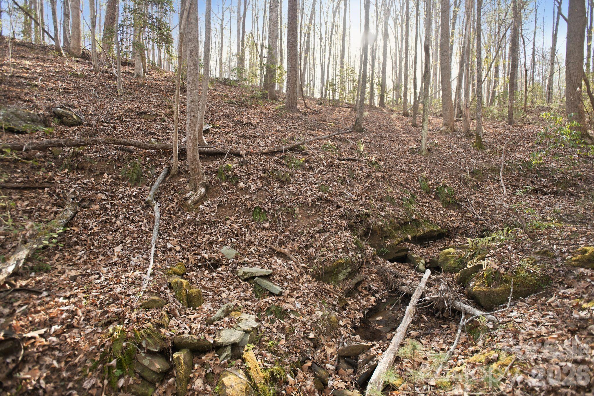 Blackberry Creek - Land