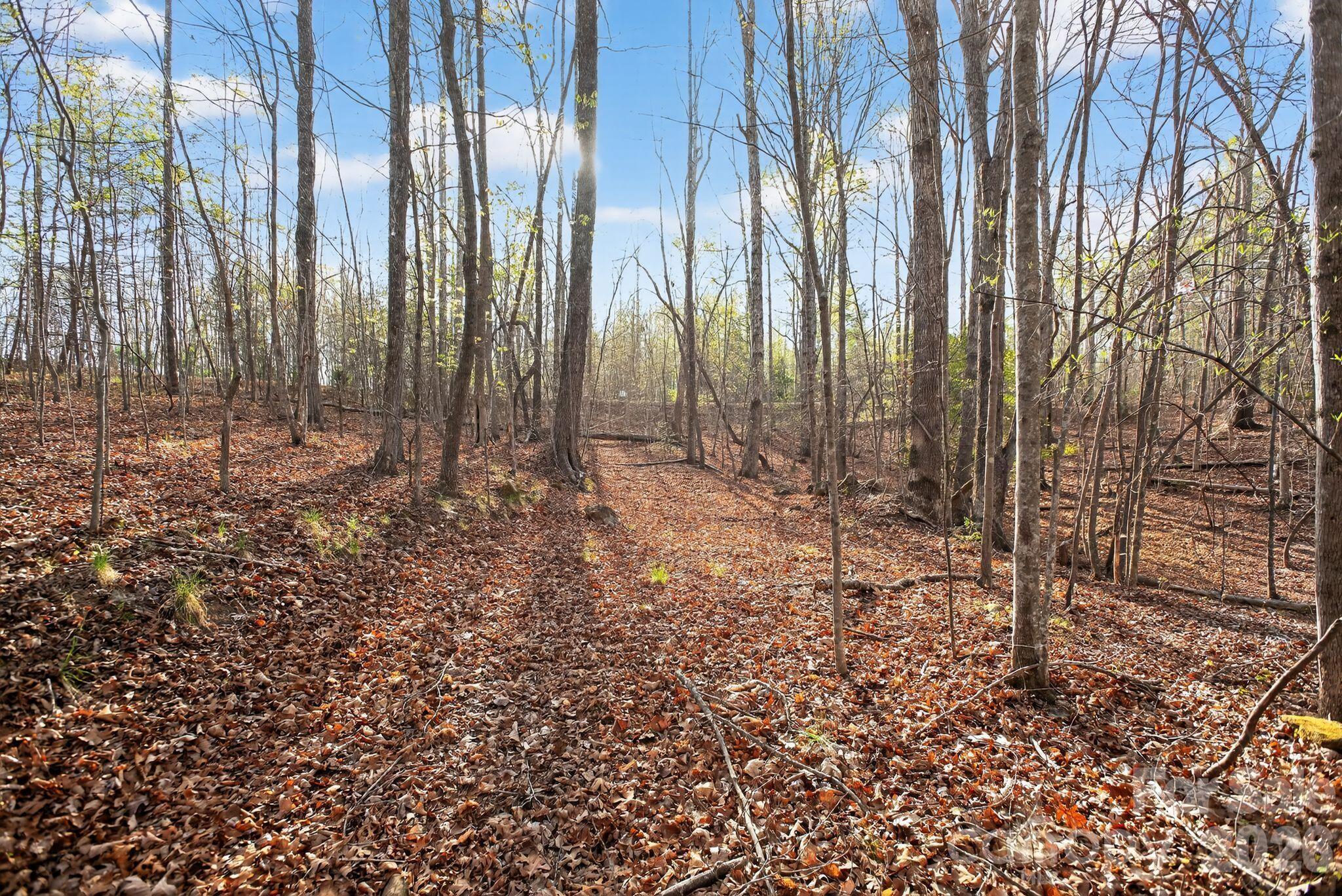 Blackberry Creek - Land