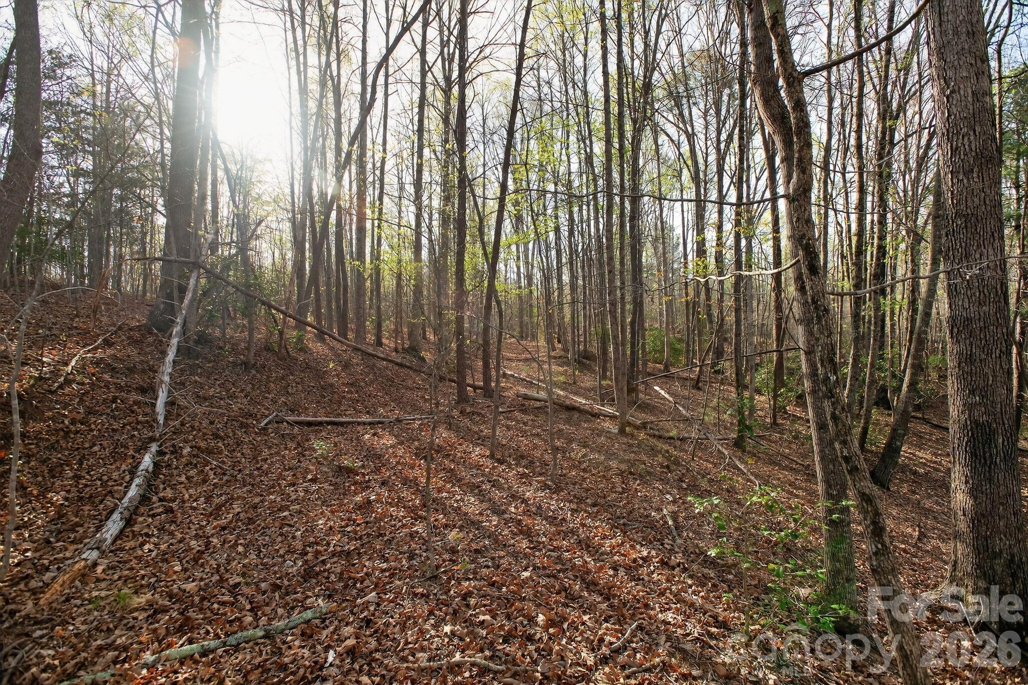 Blackberry Creek - Land