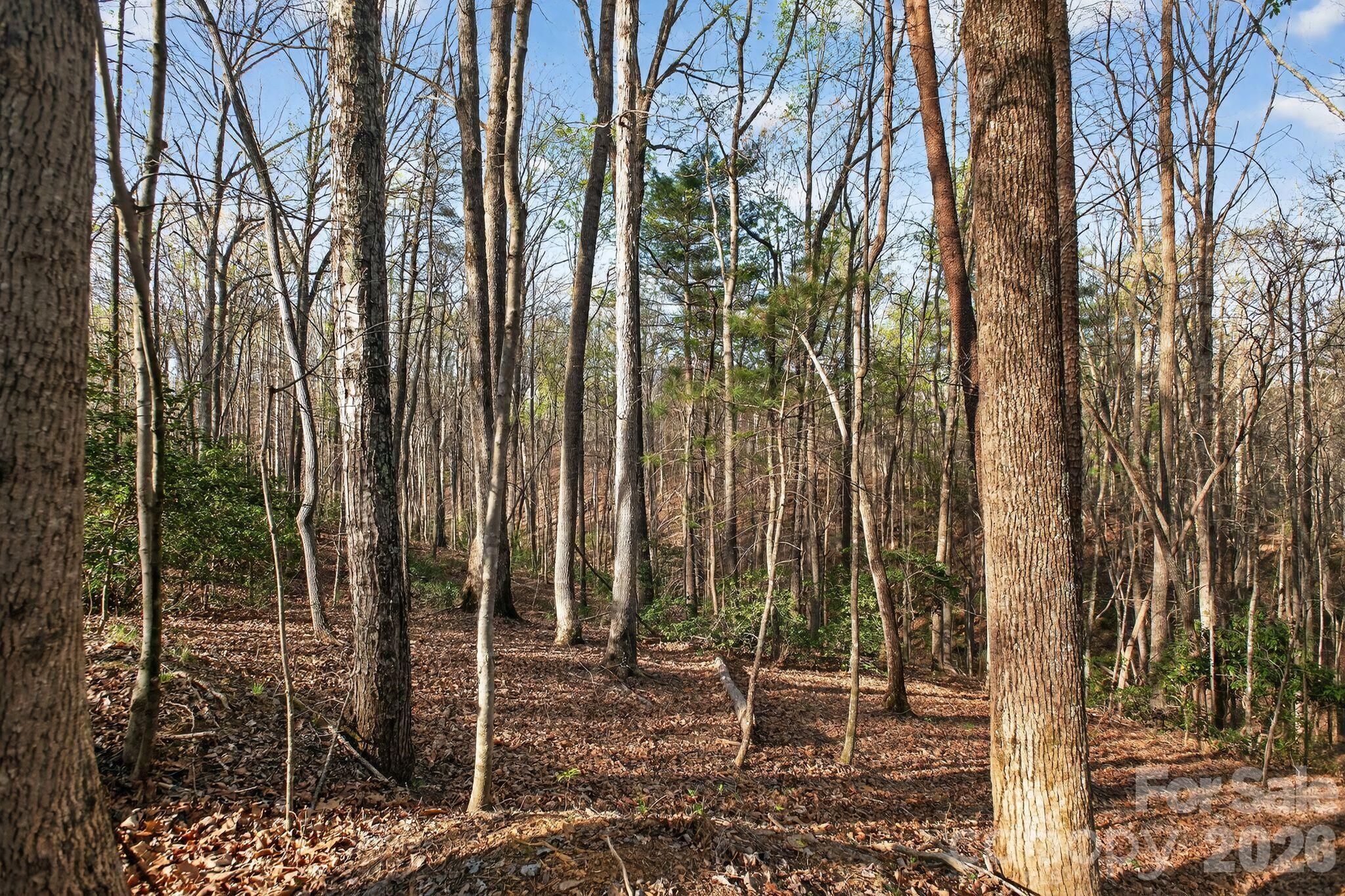 Lot 62 Dirksen Avenue