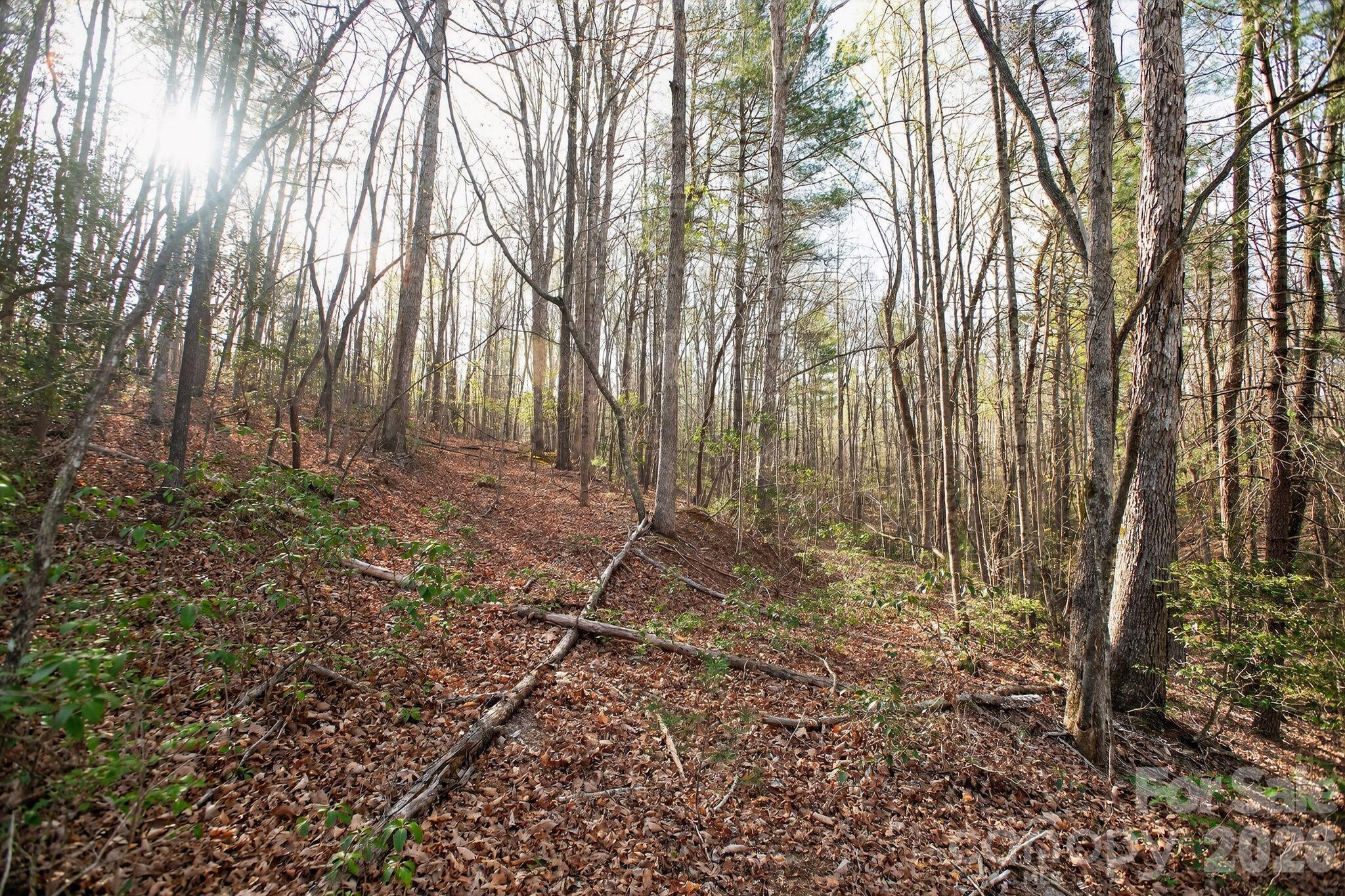 Blackberry Creek - Land