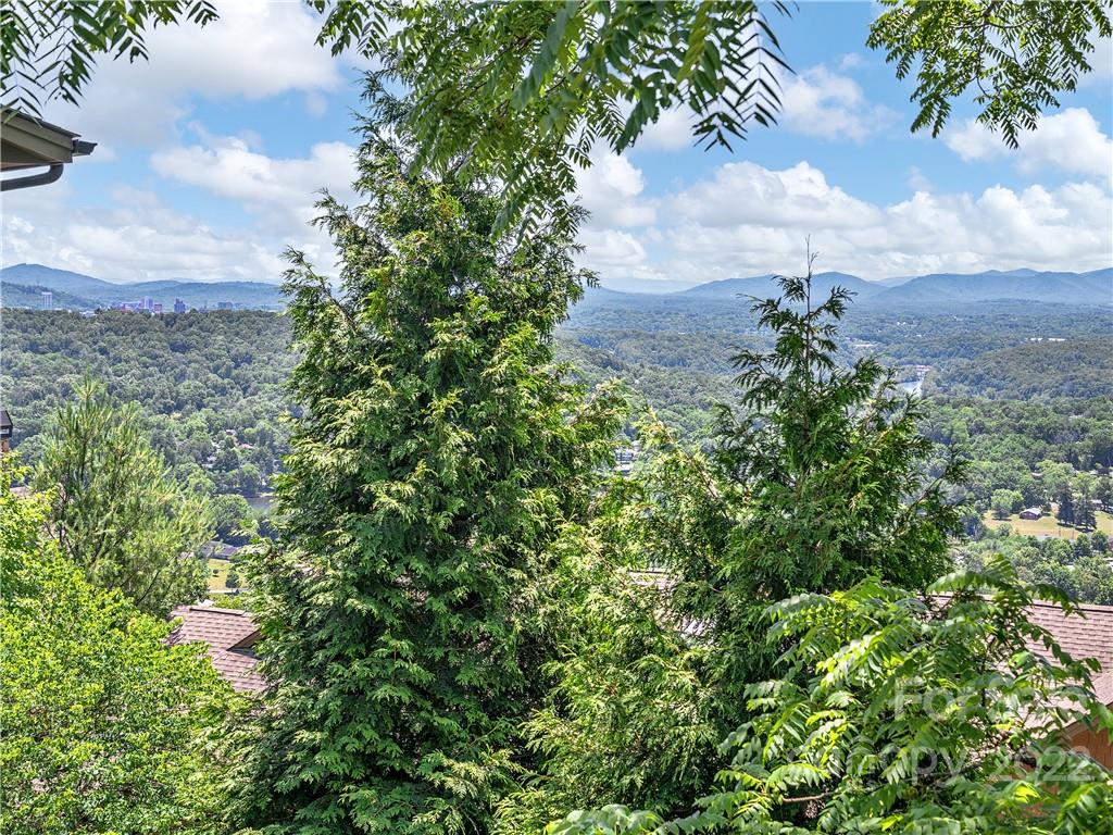 Reynolds Mountain - Residential