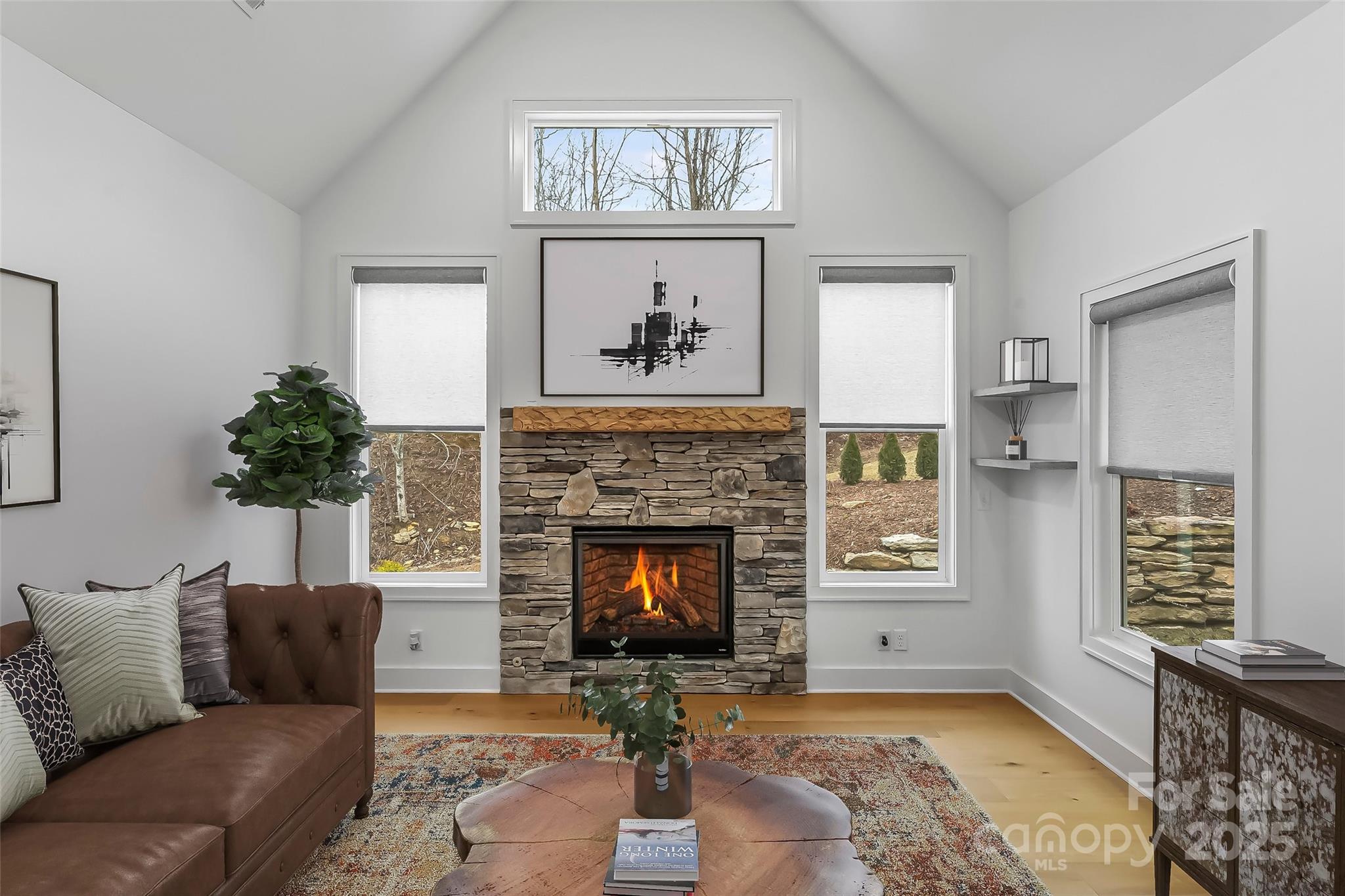 241 Millbrae Loop
