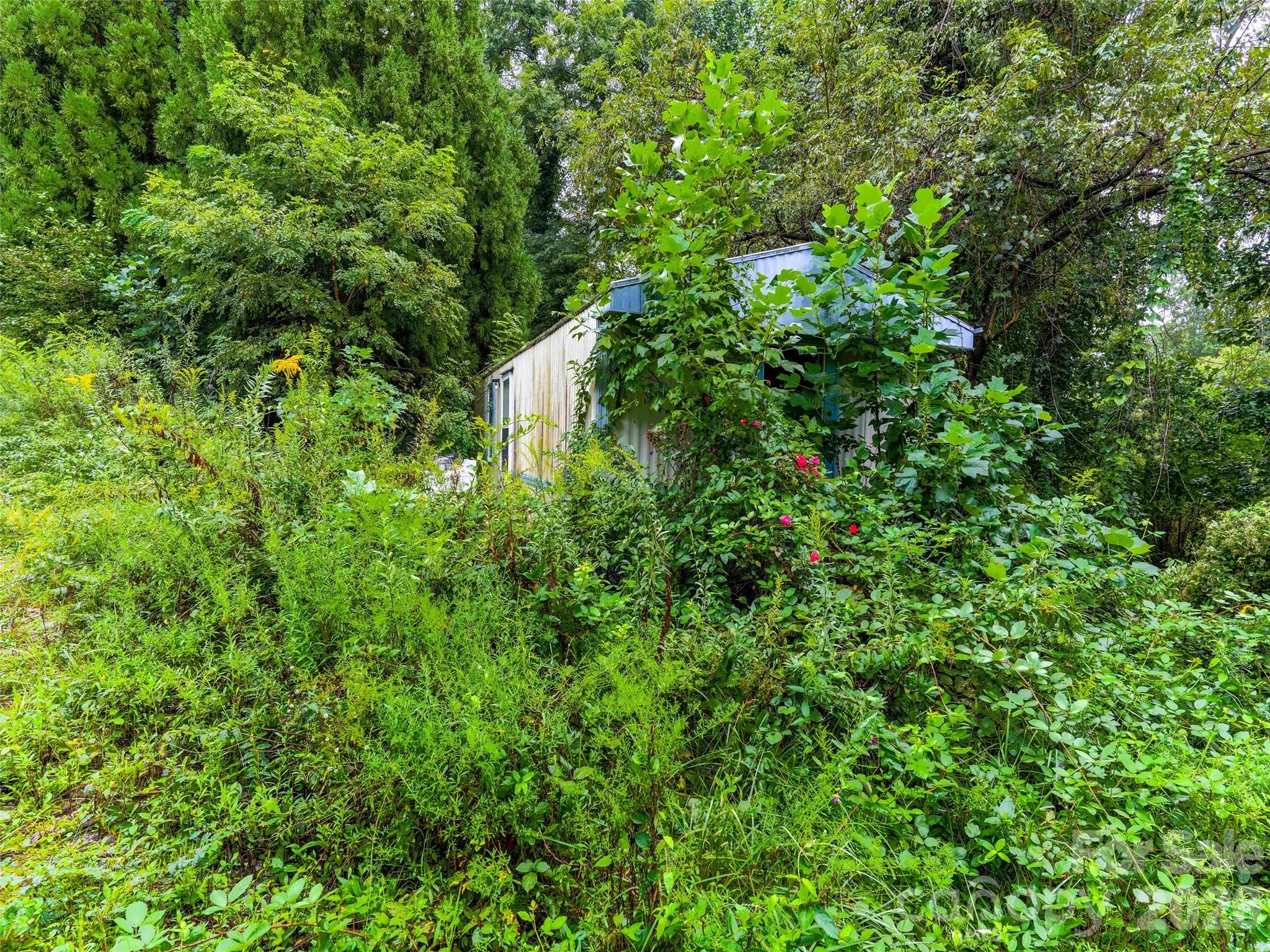 154 Pacolet Street