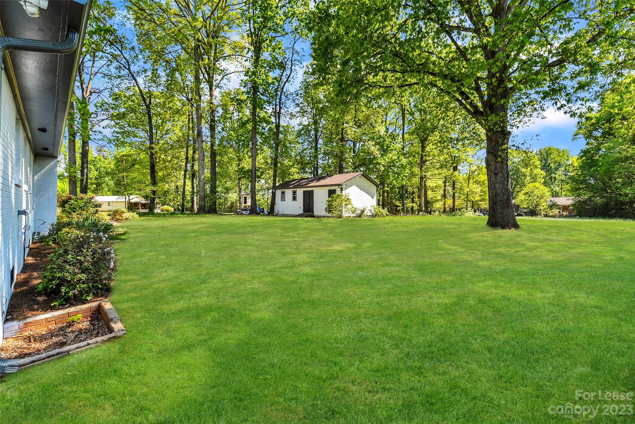 None - Residential Lease