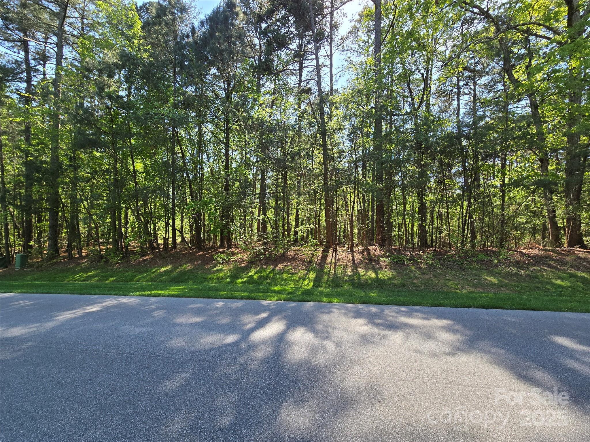 133 Badin View Drive