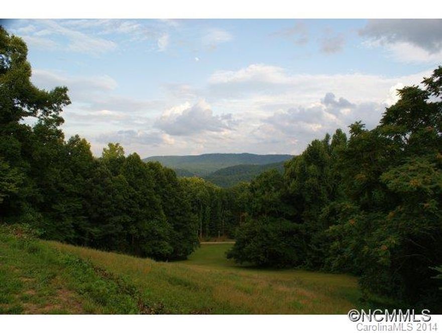 Paradise awaits.  Pollyâs Mountain is a âBest kept secretâ of Saluda.  Offered by one of âPollyâsâ heirs herself and now available to you.  Pollyâs Mountain is just minutes from historic downtown Saluda yet in a world of its own. This lot offers year round mountain views, big sky, paved road frontage, gently sloping and easy building site, sunsets and sunrises to awaken the heart.  Come see what you new view could be.