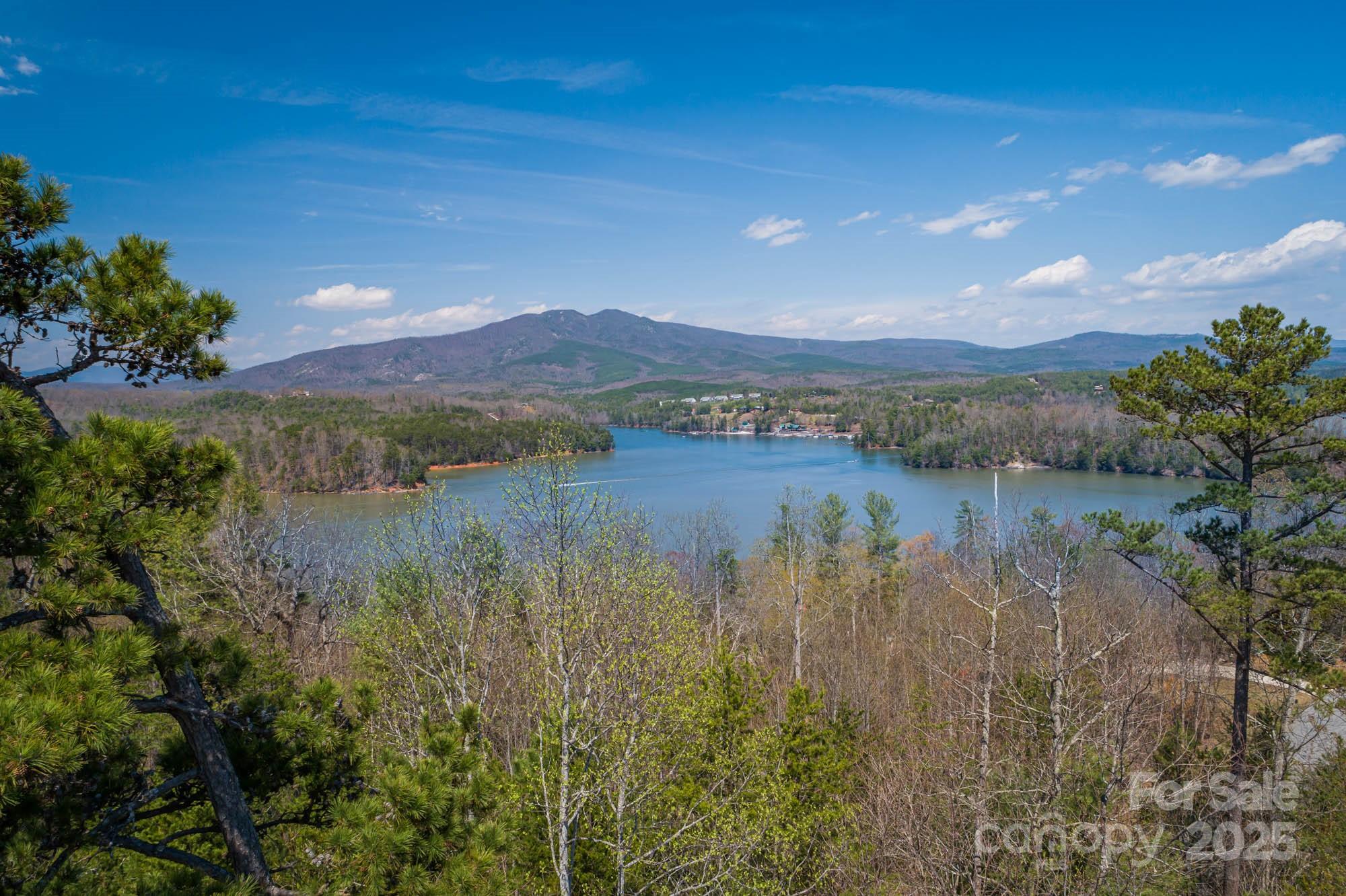 The Arbor at Lake James - Land