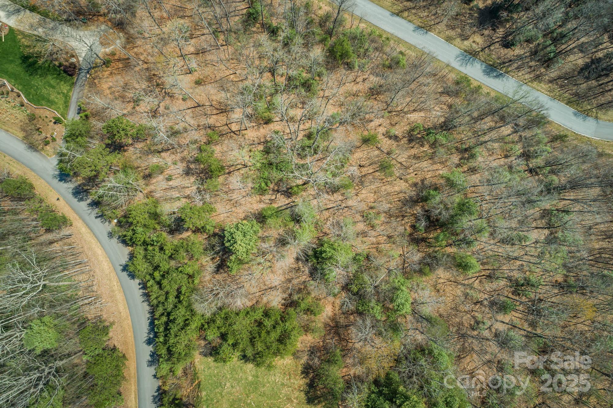 The Arbor at Lake James - Land