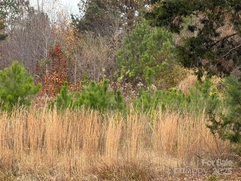 Photo of 13315-1 Ramah Church Road, Huntersville, NC 28078 (MLS # 4325372)