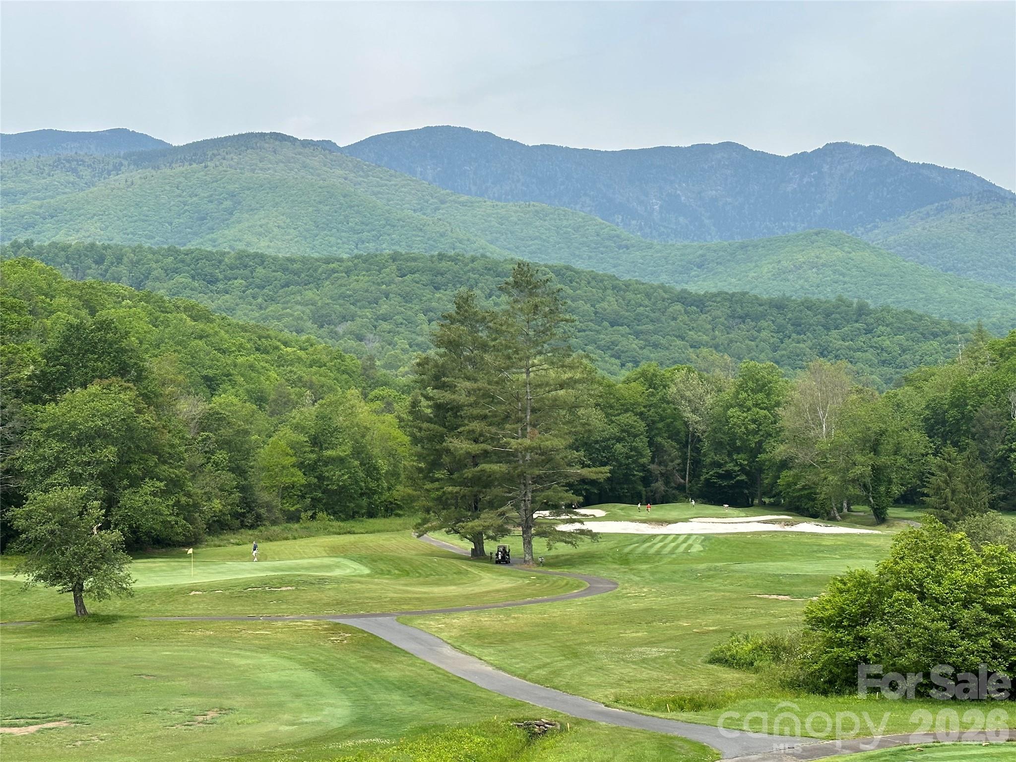 Mount Mitchell Lands - Residential