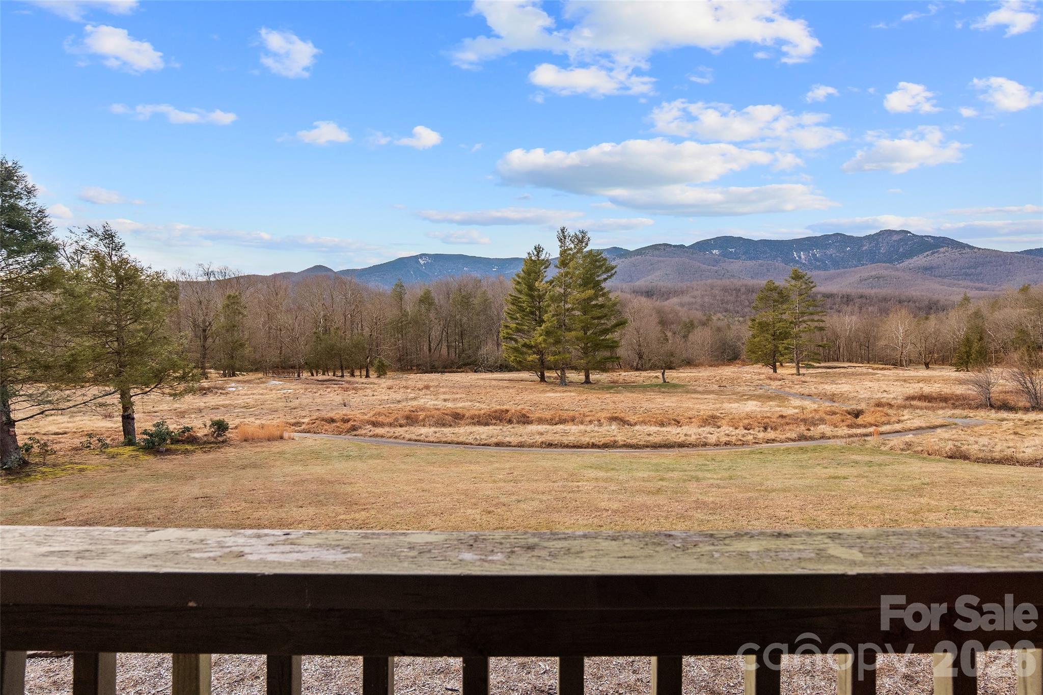 Mount Mitchell Lands - Residential