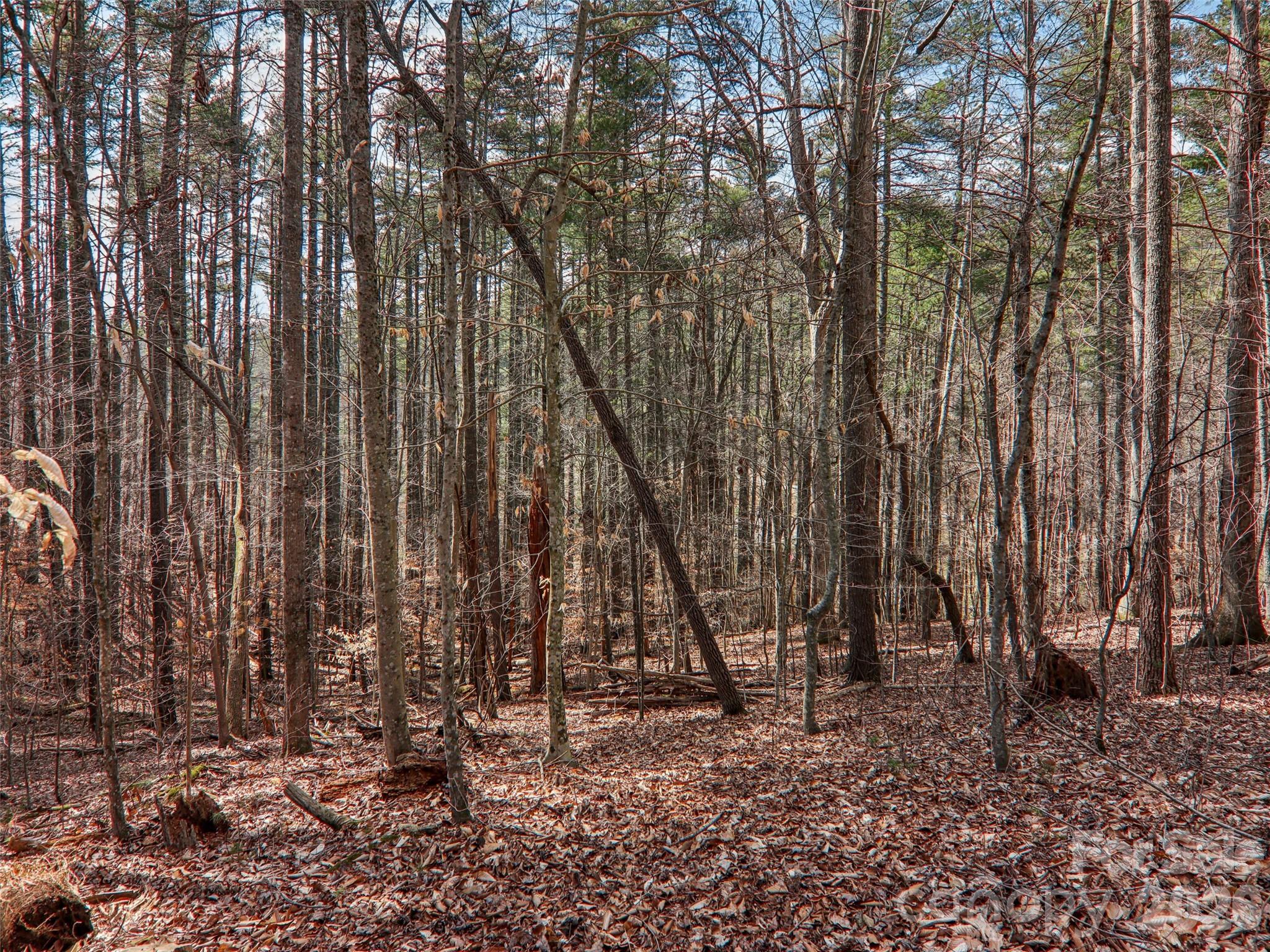 Woods Of Ammons - Residential