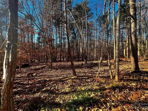 Photo of 156 Copper Pine Lane #5, Davidson, NC 28036 (MLS # 4100819)