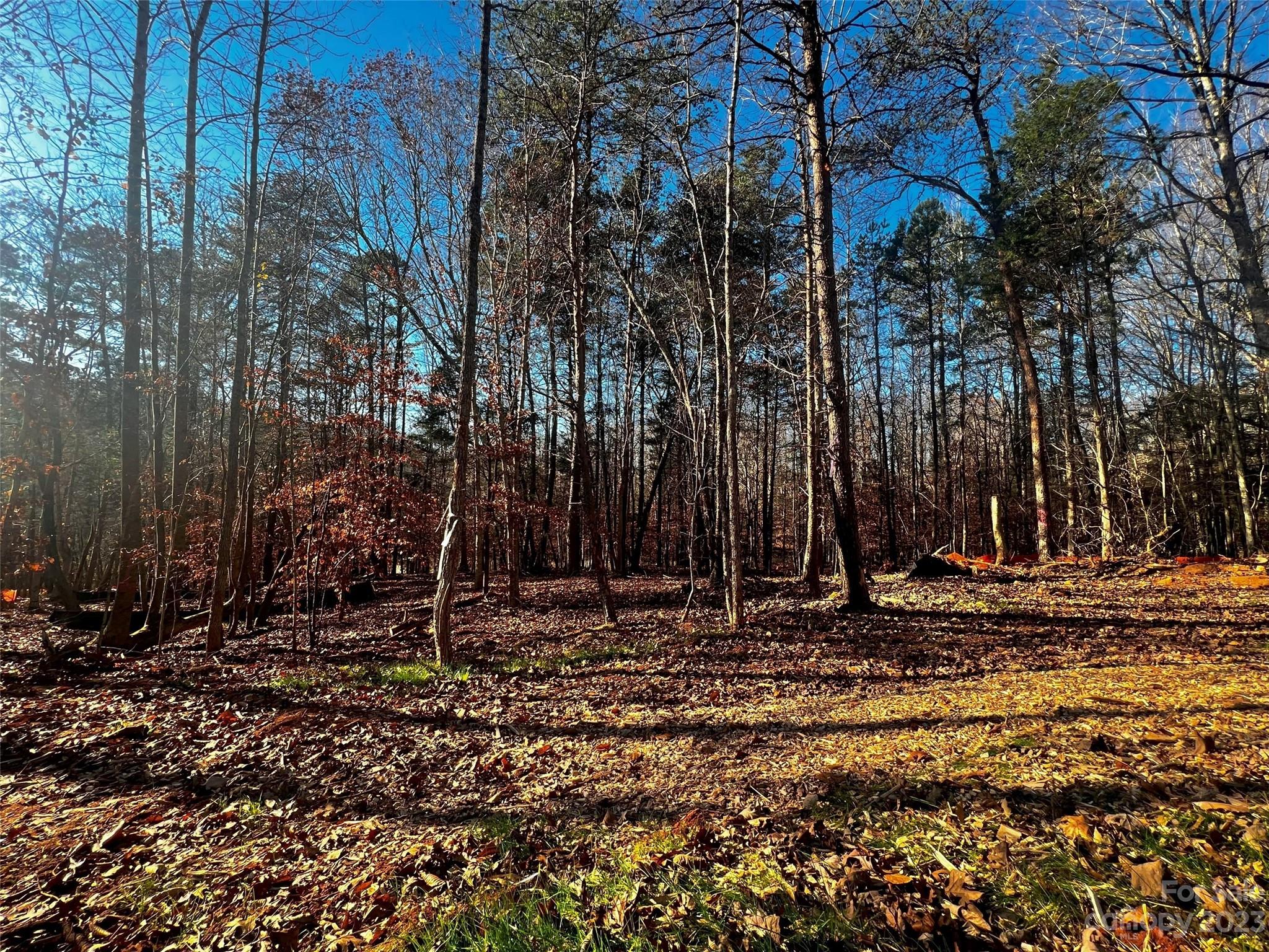 156 Copper Pine Lane 5