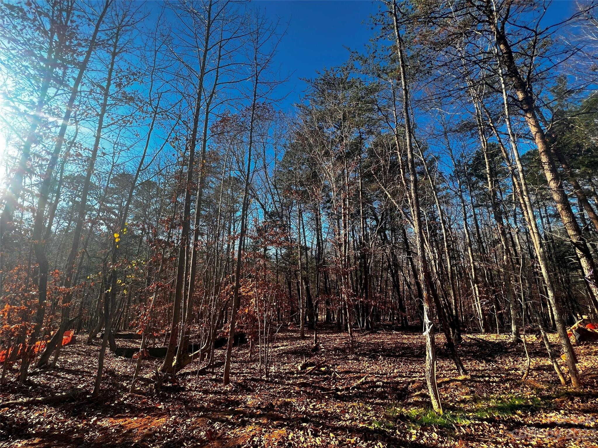 156 Copper Pine Lane 5