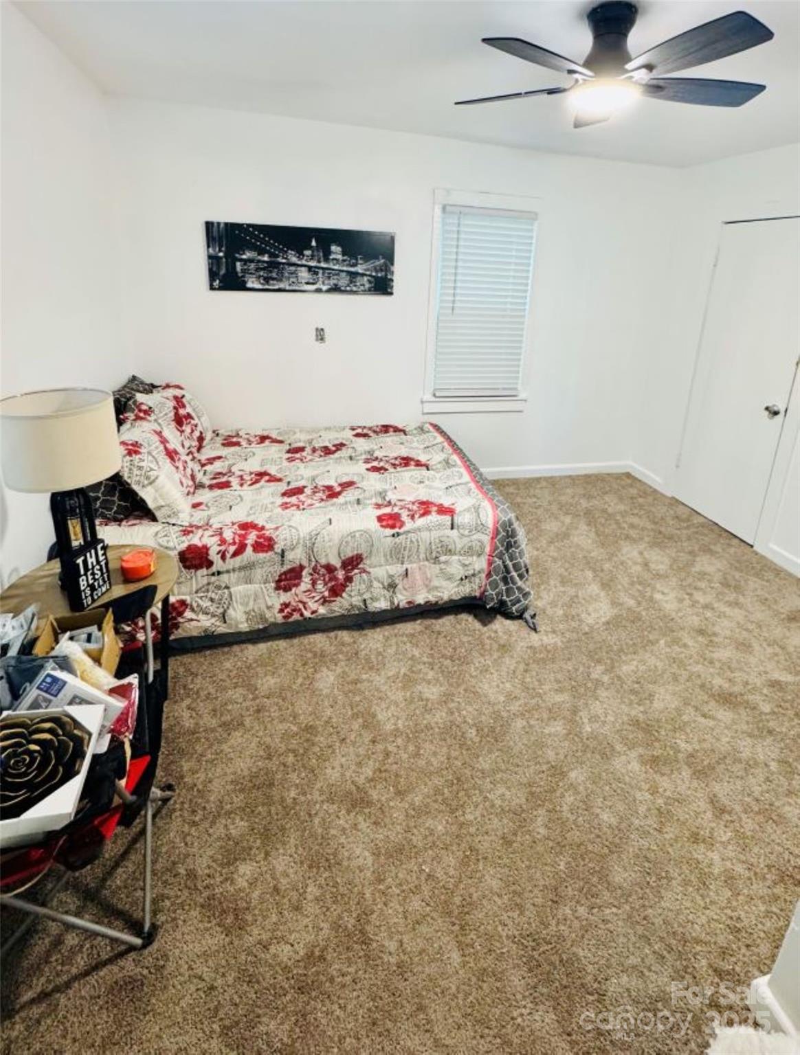 229 ACL Avenue