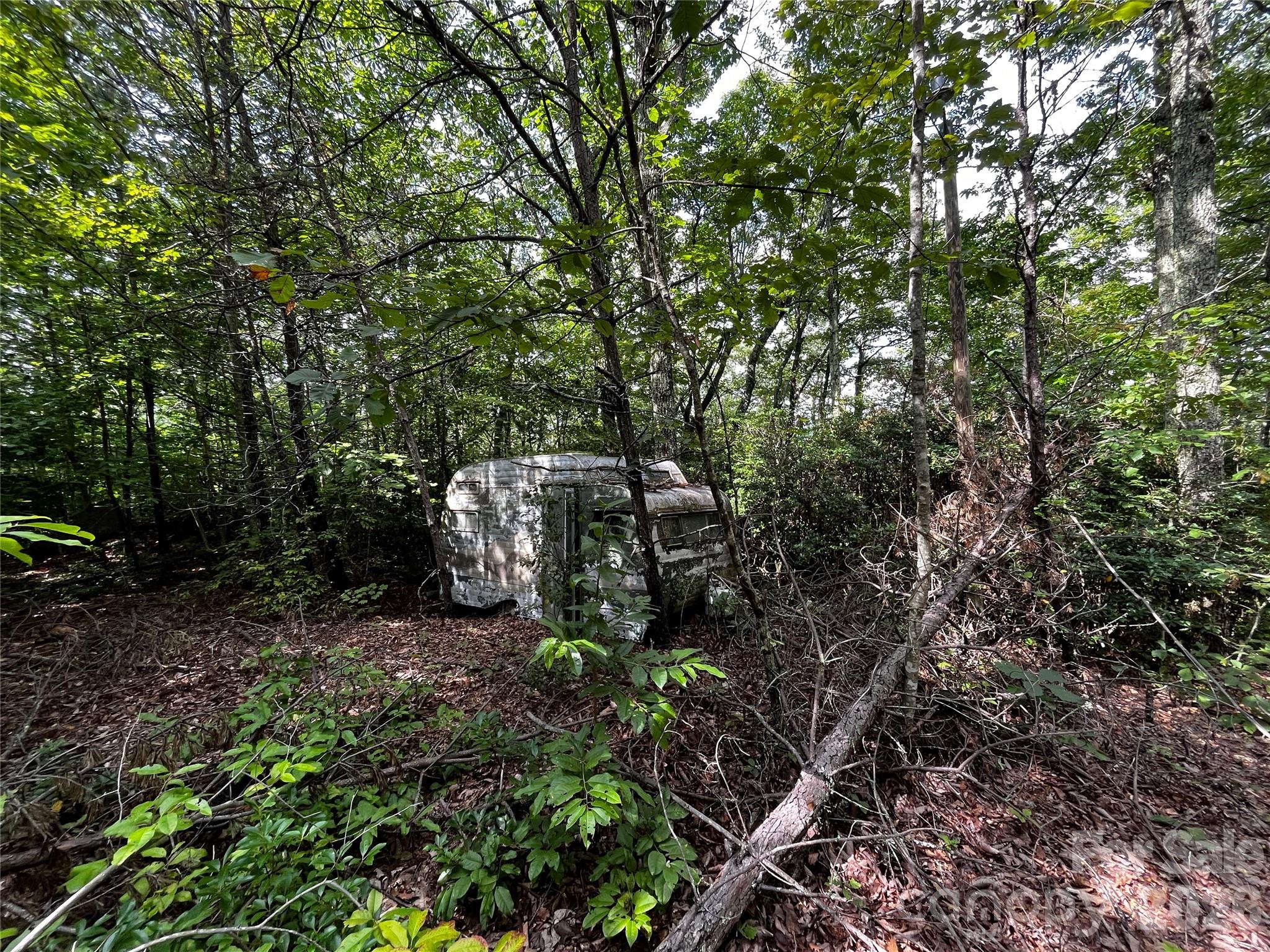 462 Autumn Forest Drive