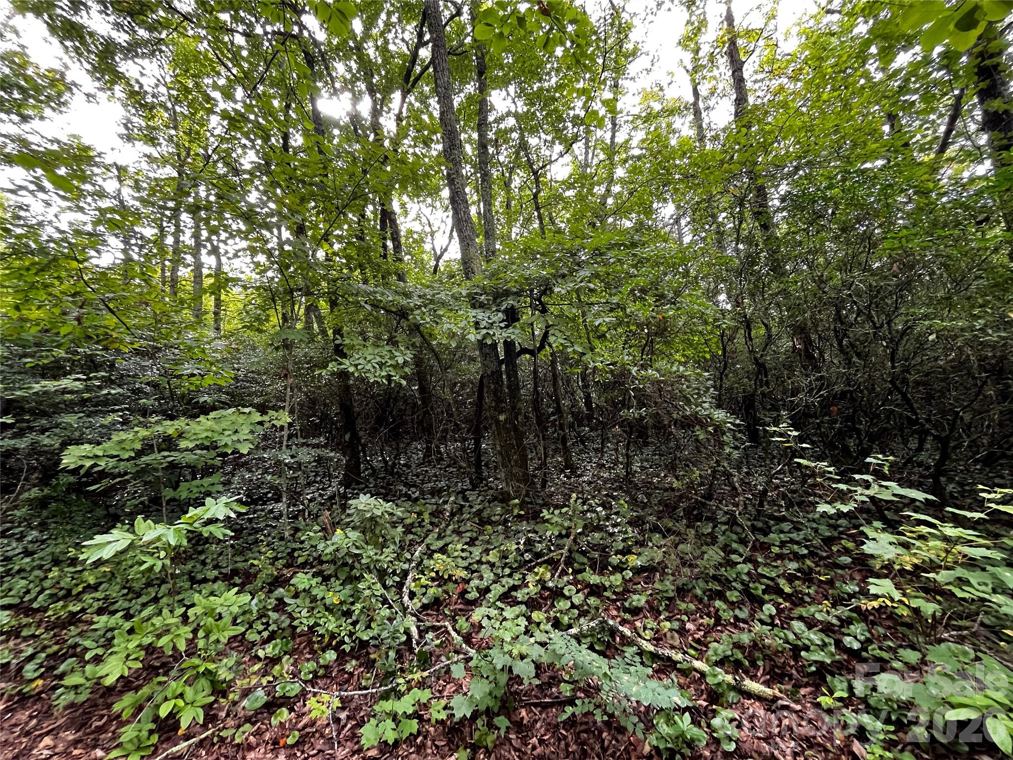 462 Autumn Forest Drive