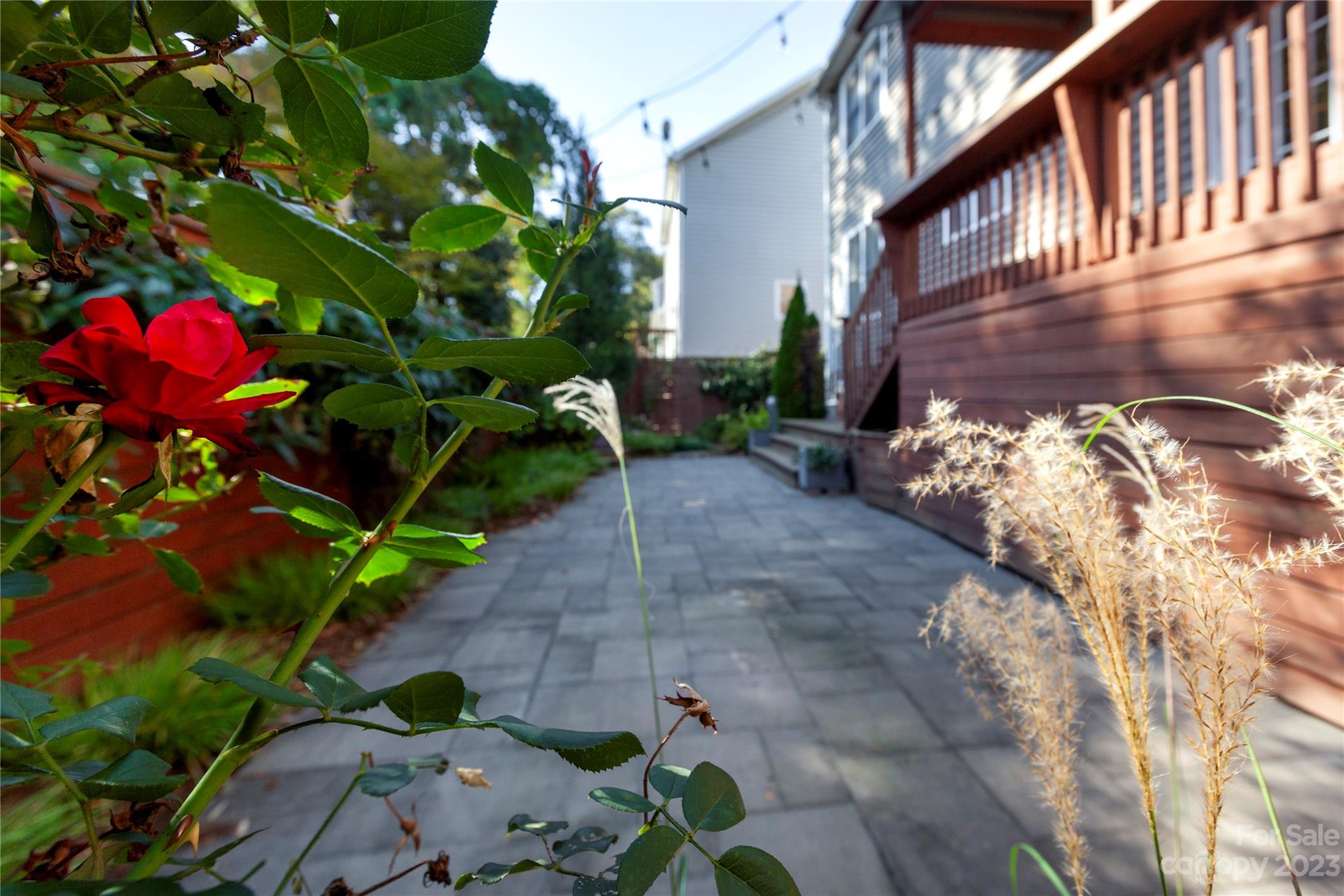 Midwood - Residential