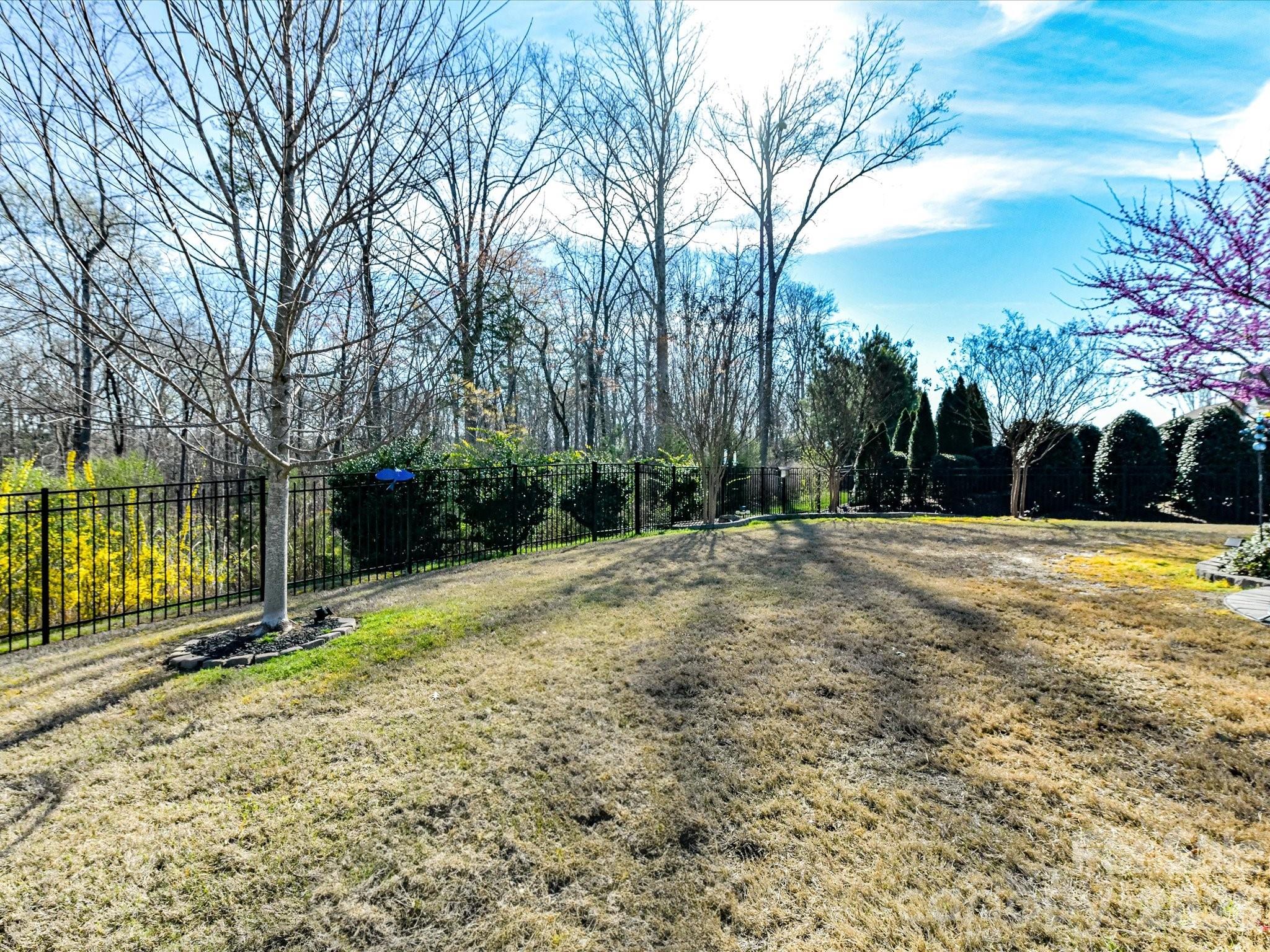 Tree Tops - Residential