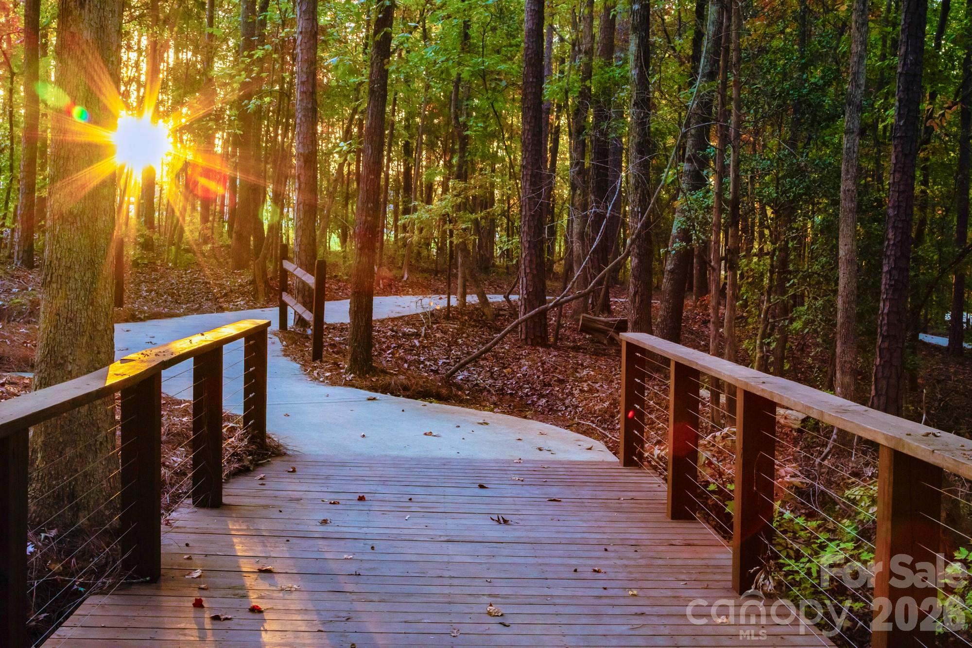 Tree Tops - Residential