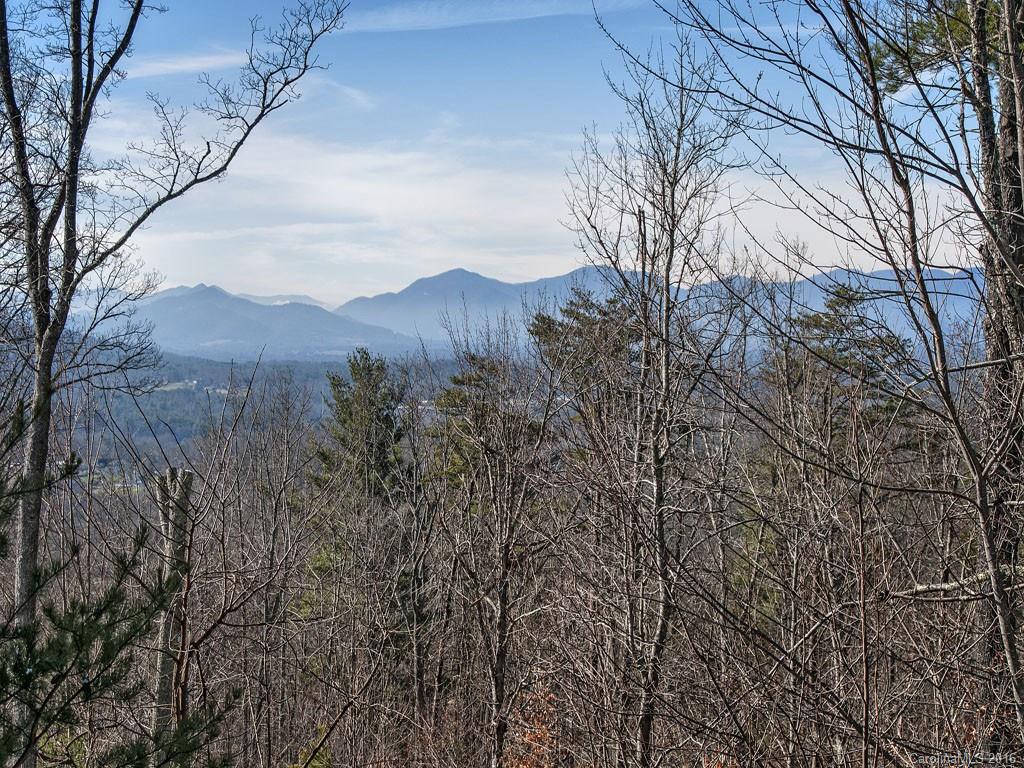 Reems Creek Golf Community - Residential