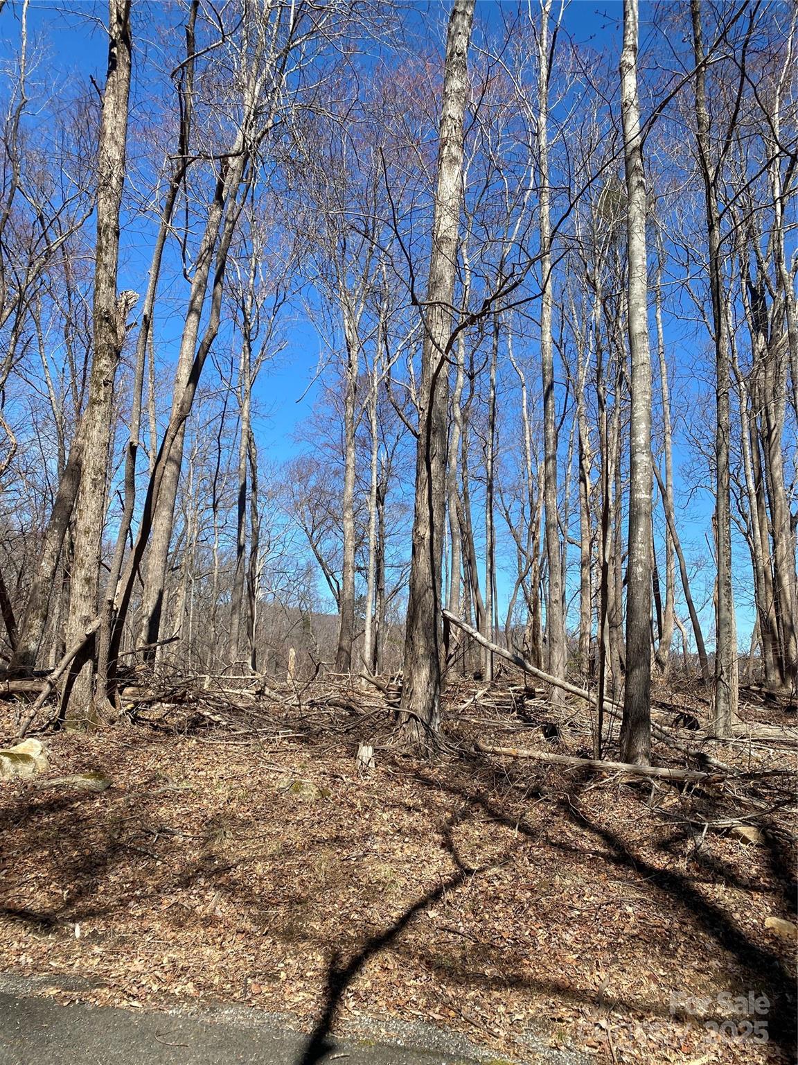 0000 Raleigh Drive 8 & 9