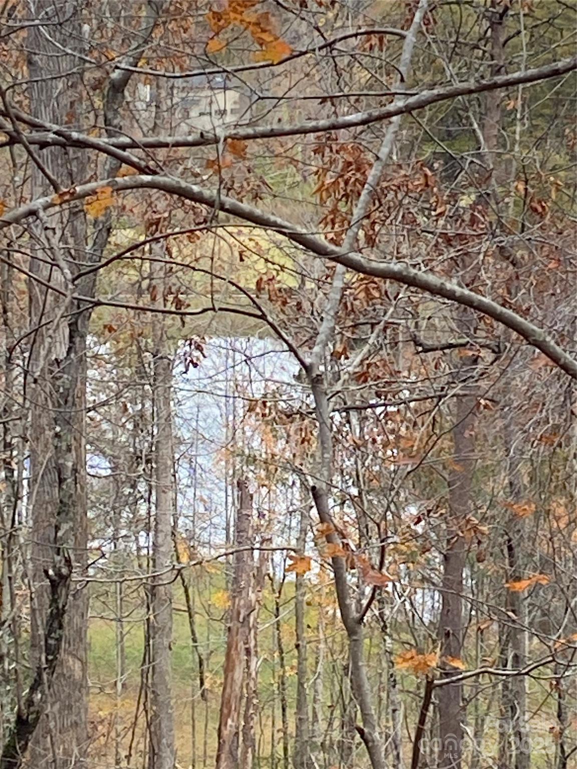Carolina Mountains - Land