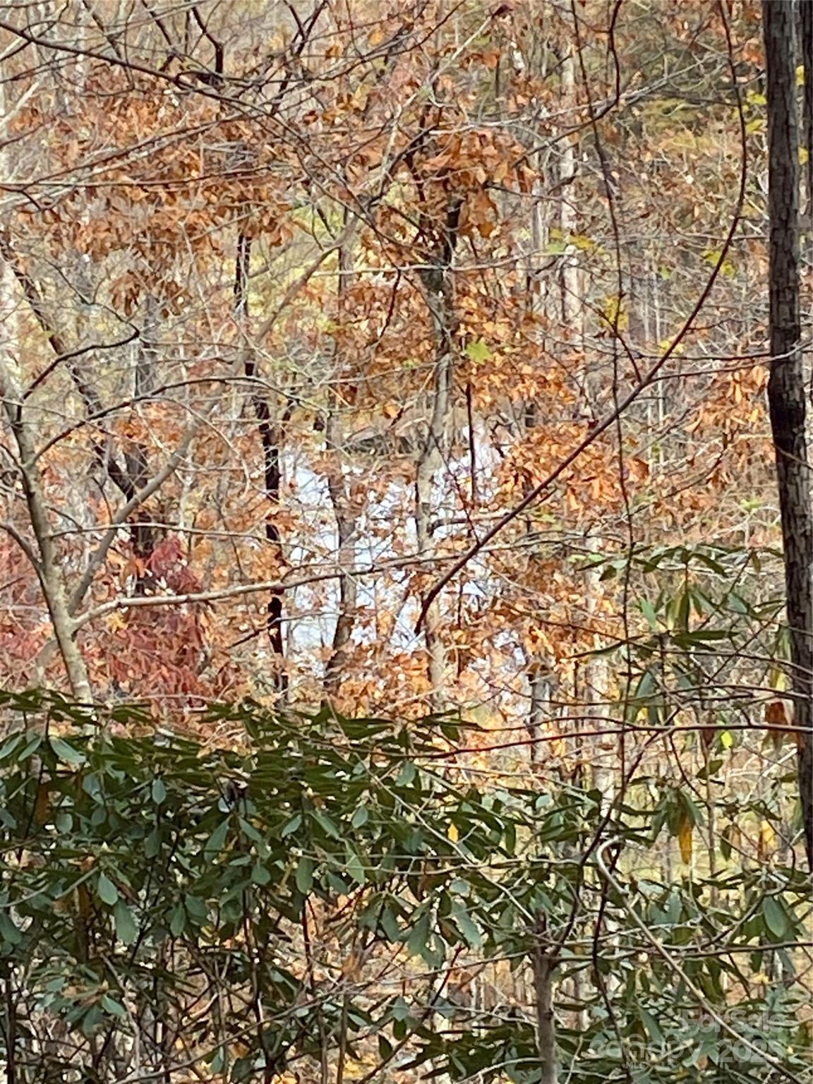 Carolina Mountains - Land