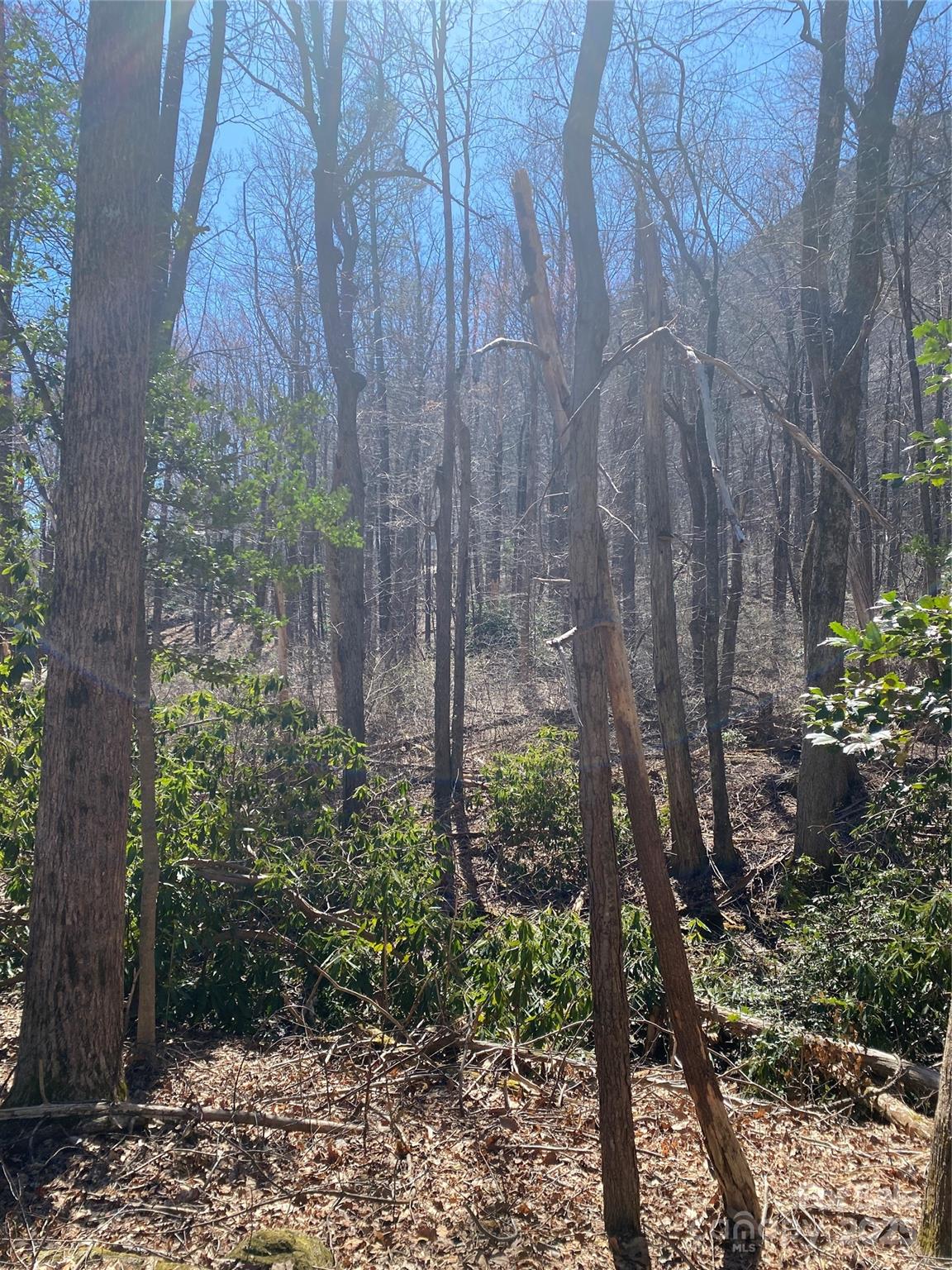 0000 Raleigh Drive 8 & 9