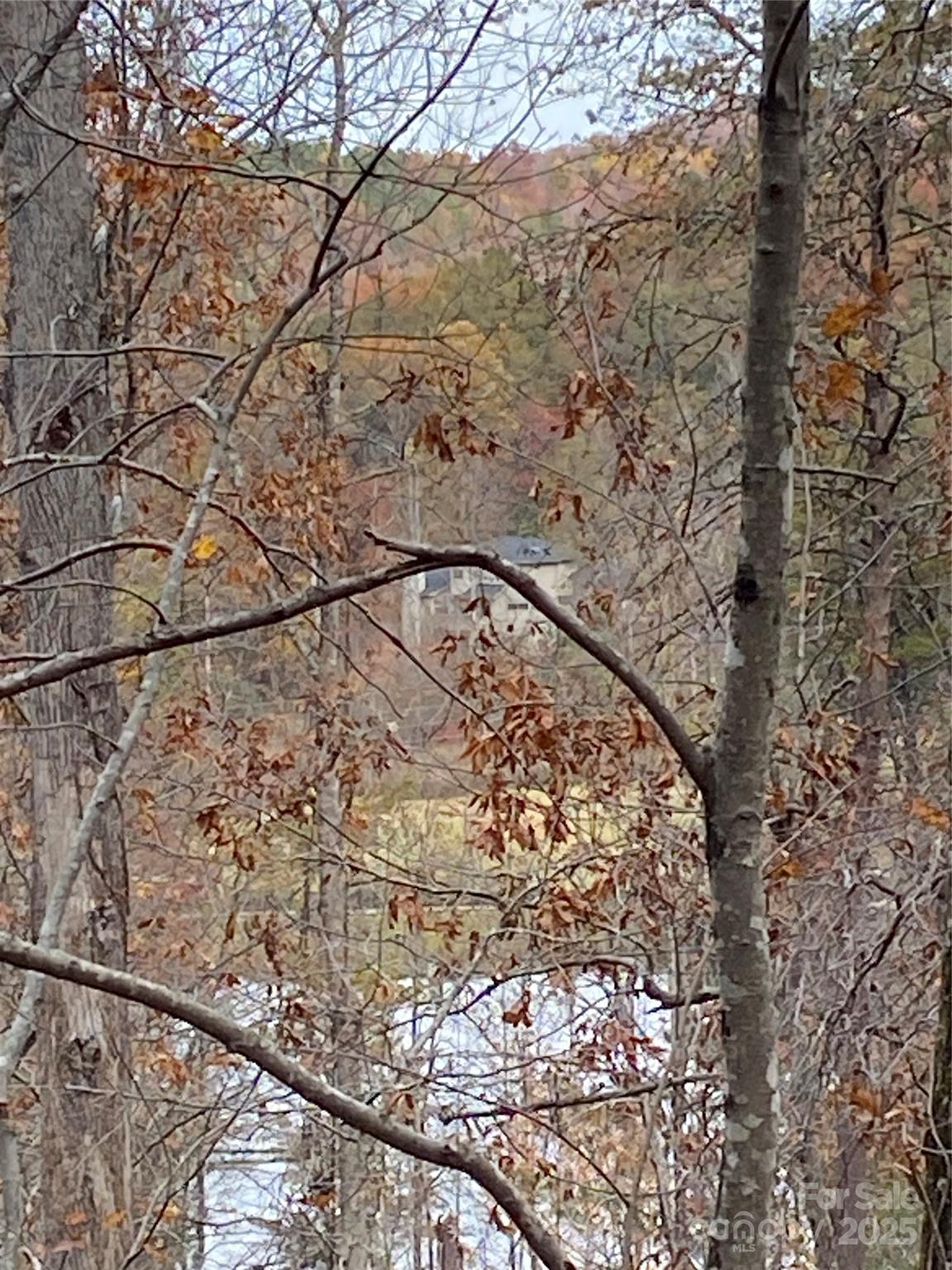 Carolina Mountains - Land