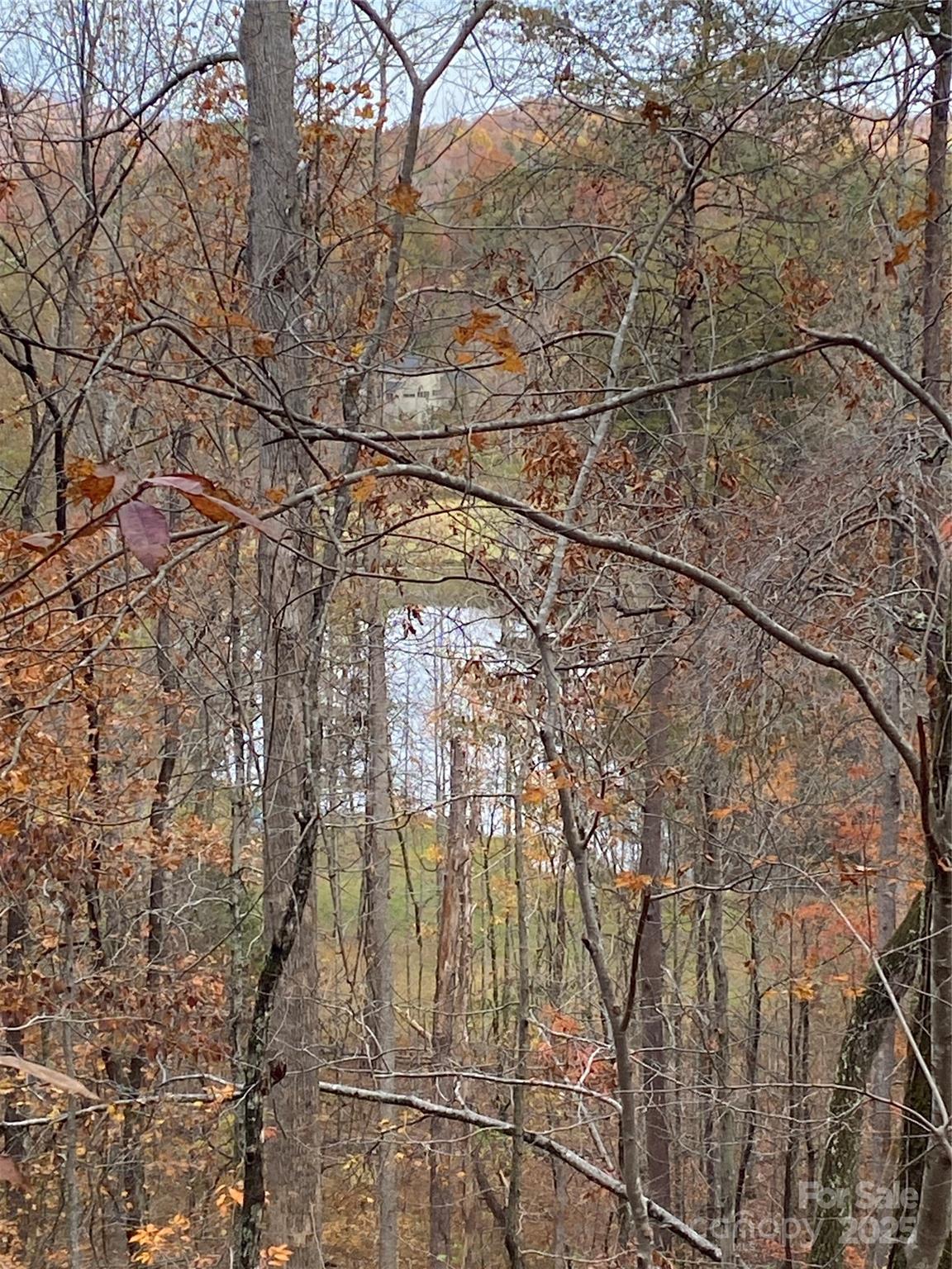 Carolina Mountains - Land
