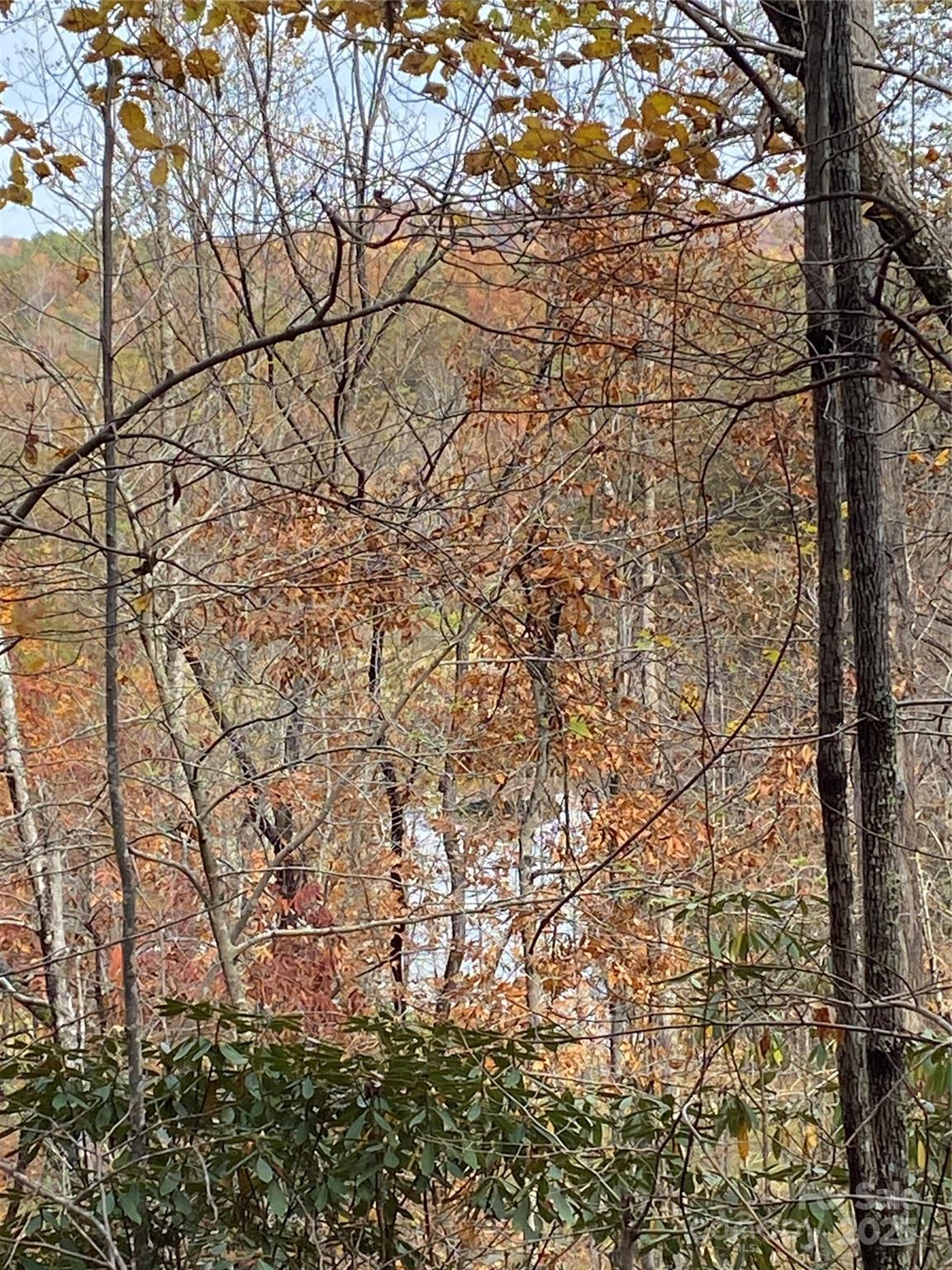 Carolina Mountains - Land