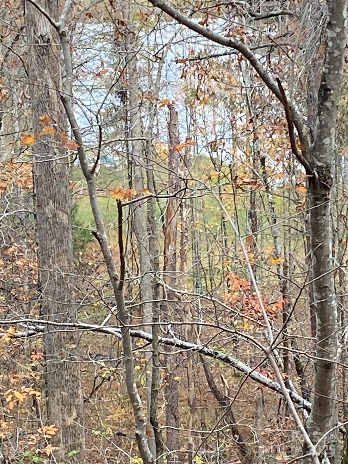 Carolina Mountains - Land