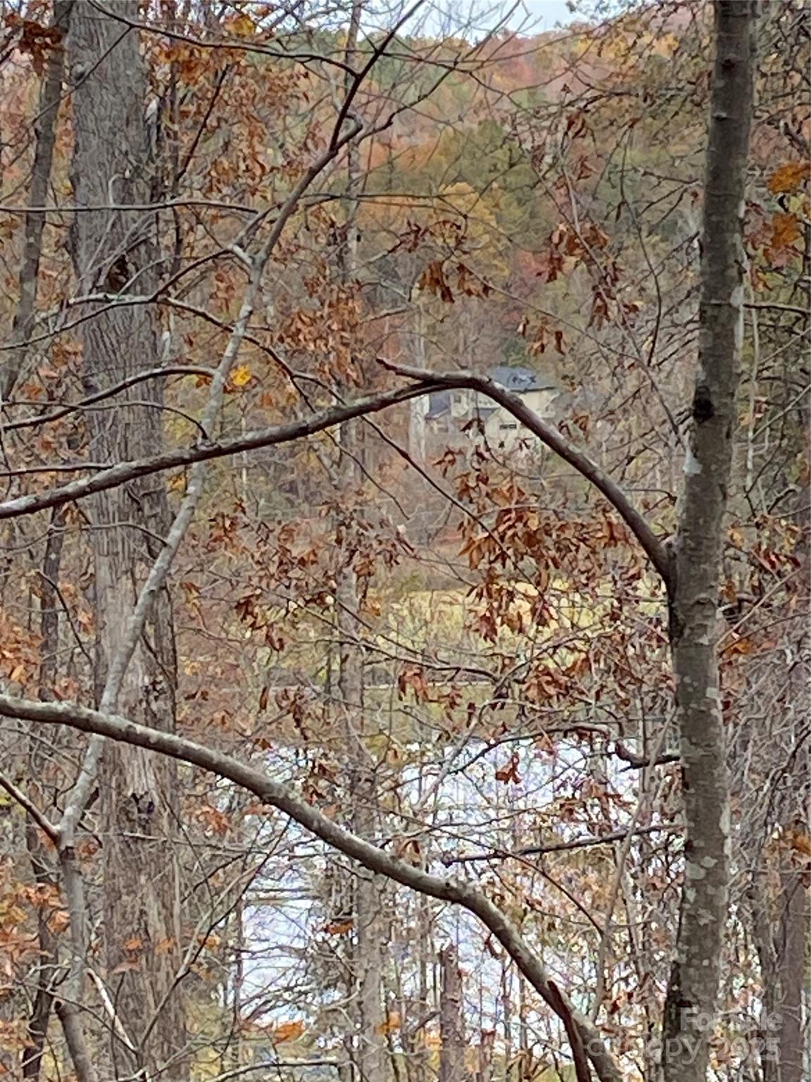 Carolina Mountains - Land