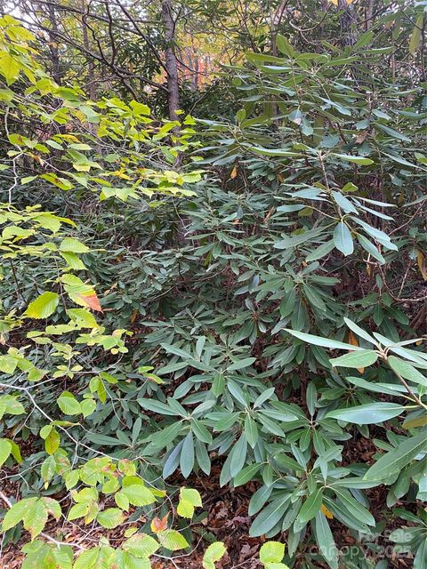 0000 Raleigh Drive 8 & 9 Lake Lure NC 28761