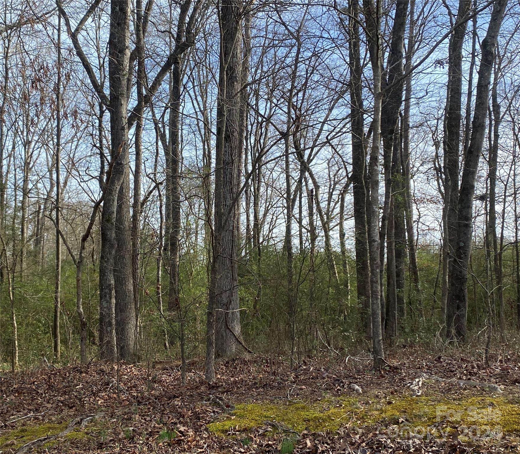 Greenview Acres - Land