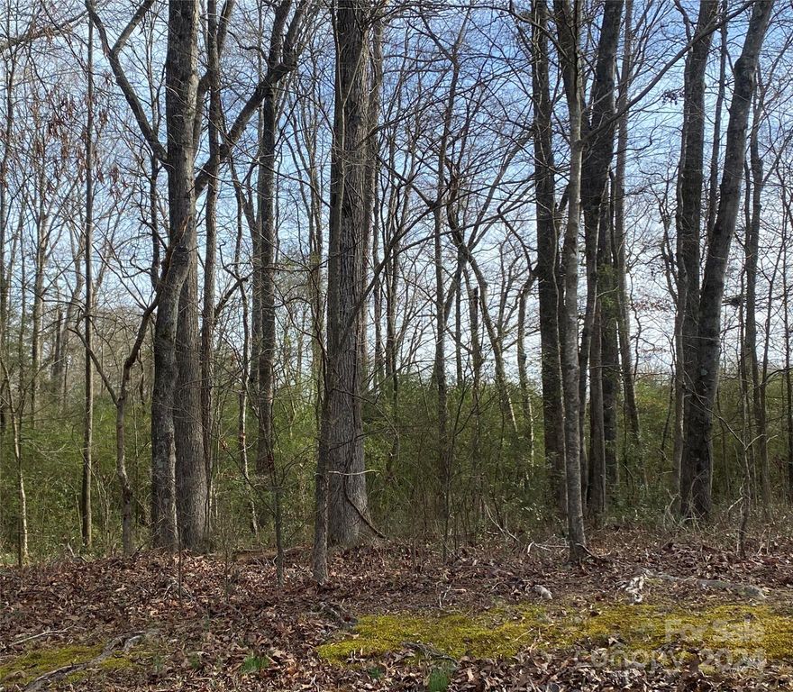 Escape to a serene country lifestyle without sacrificing the convenience of town living! This 0.83 acre wooded lot presents a rare opportunity to build your dream home amidst nature's tranquility, all while being just a stone's throw away from essential amenities. Immerse yourself in the natural beauty that provides a peaceful and private retreat. Enjoy outdoor adventures with close access to Morrow Mountain State Park, Badin Lake, and Lake Tillery. Whether it's hiking, boating, or simply soaking in the scenery, your new property puts you in the heart of recreational opportunities. Located on a private gravel road, this lot offers the best of both worlds with no city taxes. Don't miss out on this unique opportunity to create your ideal lifestyle.