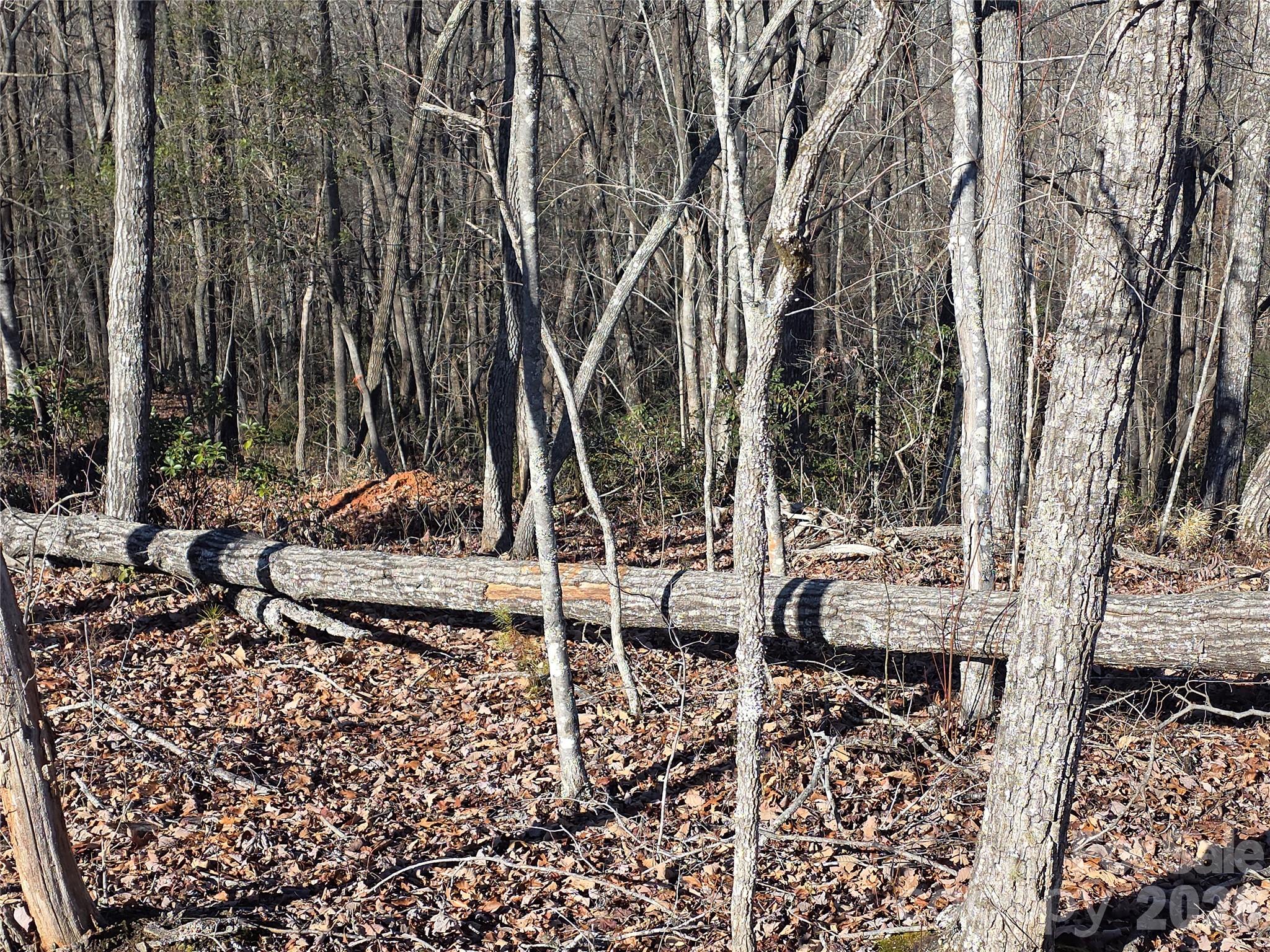 Lot 2 Warren Ridge Road