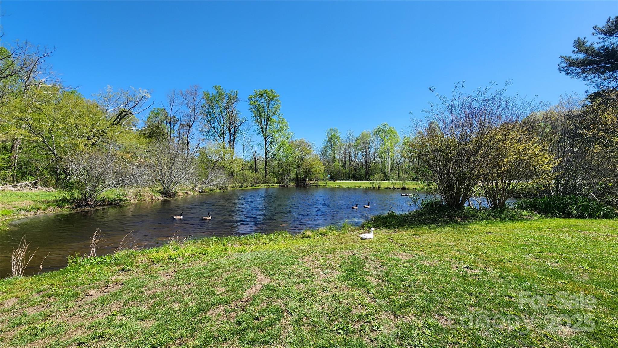 Pine Mountain Estates - Residential