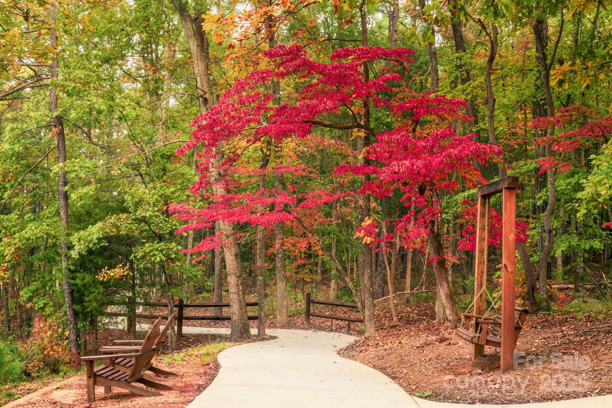 Tree Tops - Residential